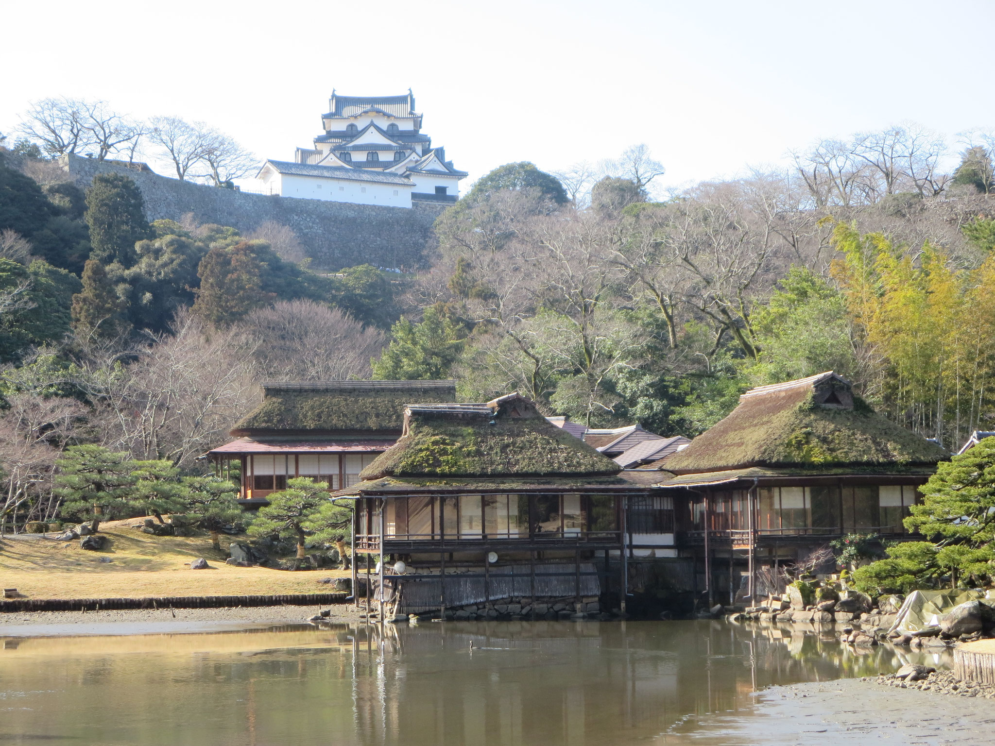 彦根城借景の庭