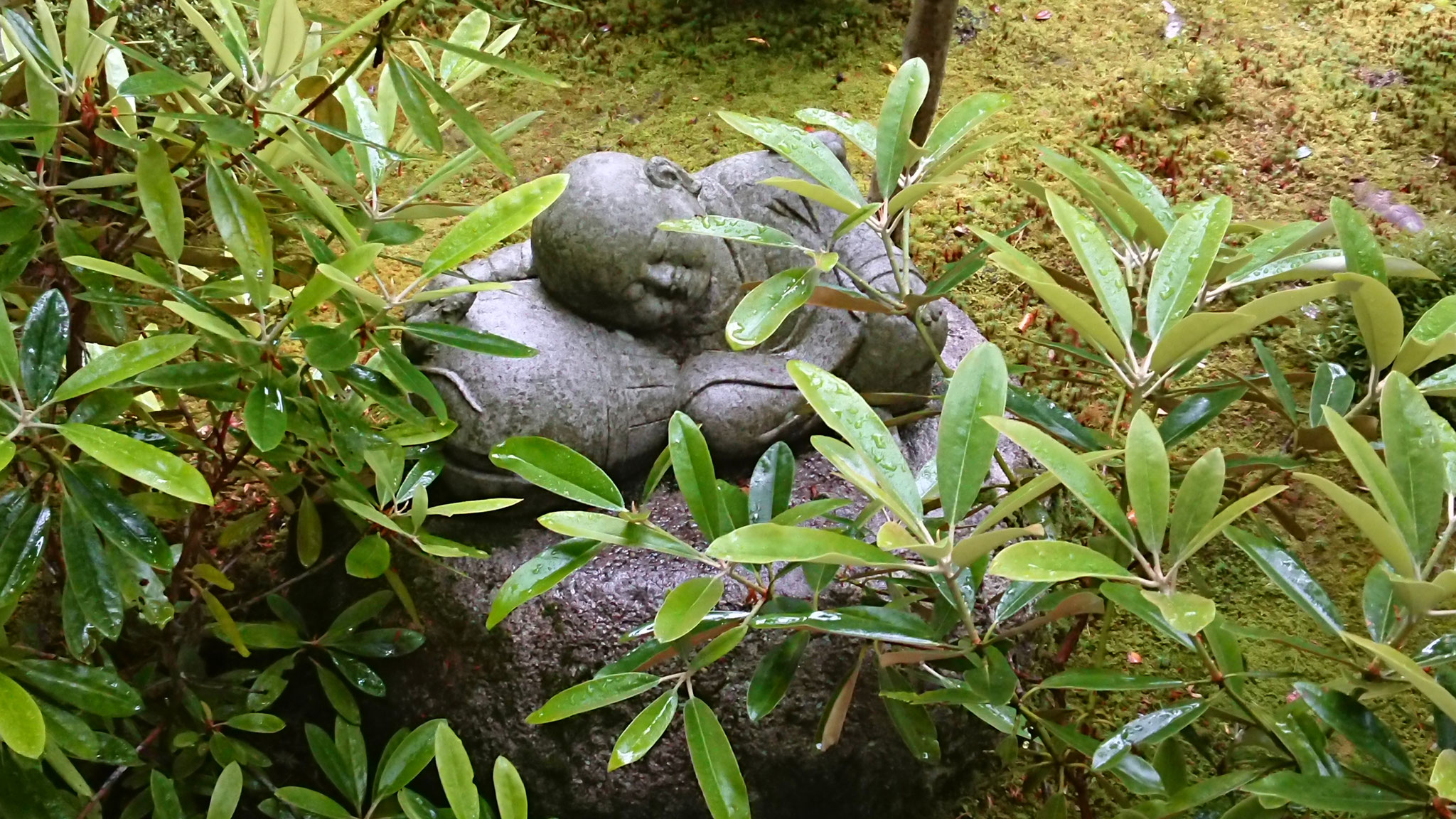 木魚を枕に居眠り