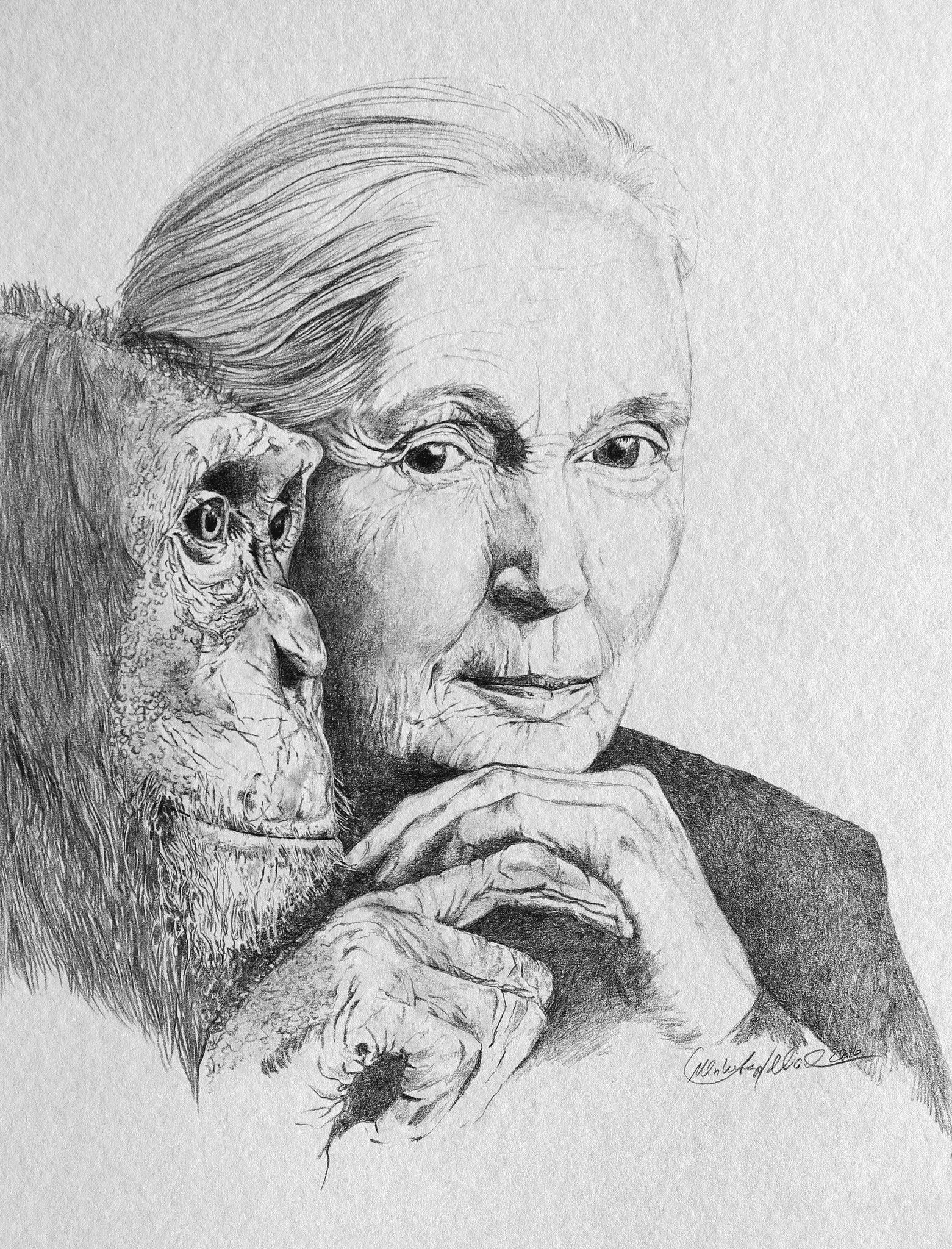 Jane Goodall Bleistift