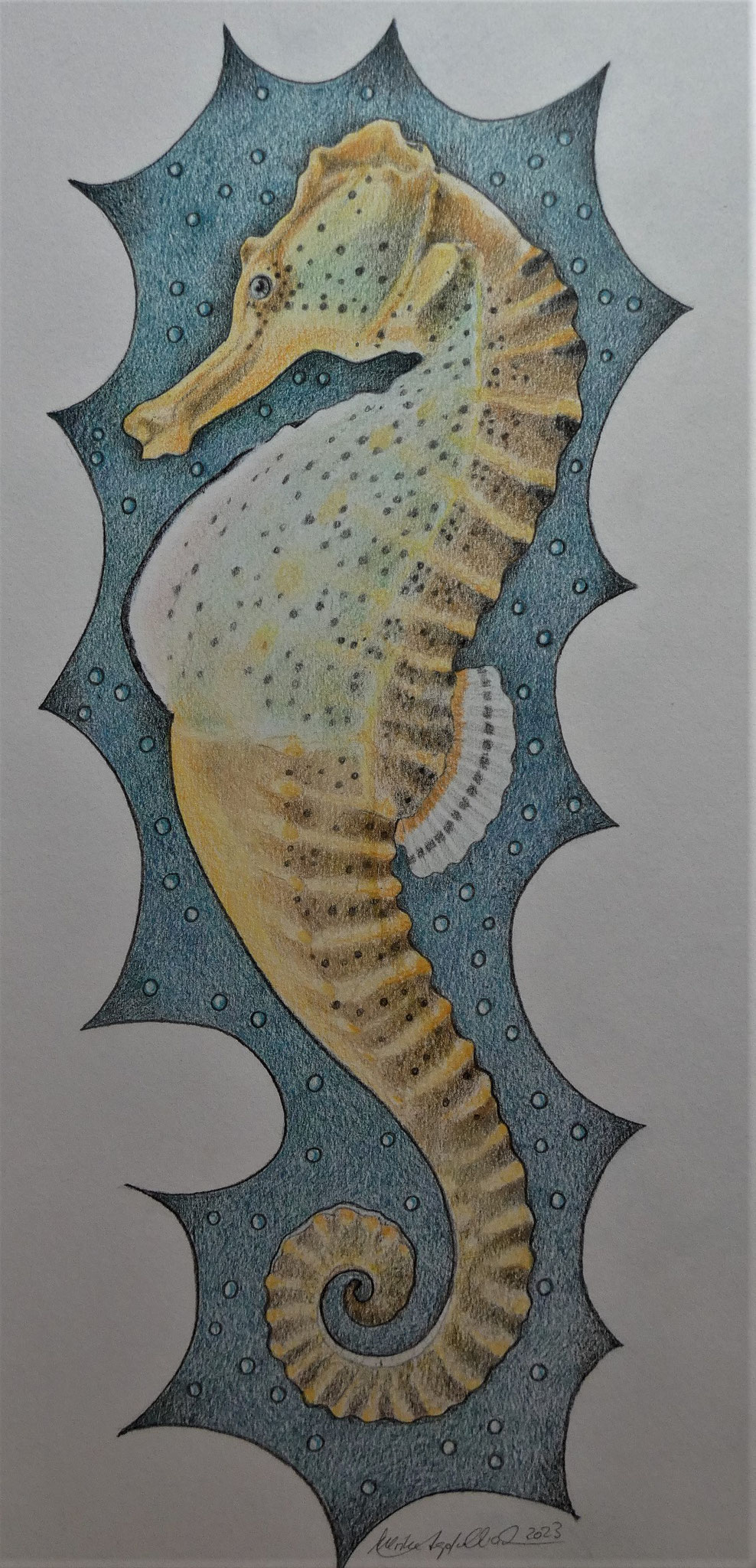 Seepferdchen /Farbstift