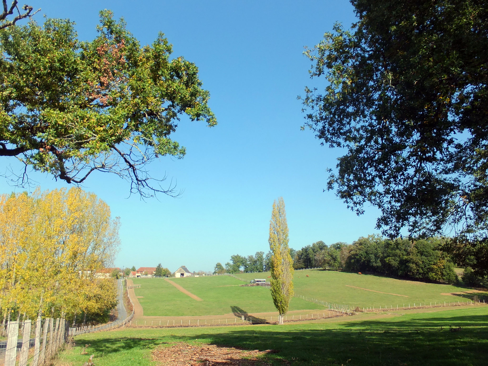 Vue depuis notre rue sur la campagne environnante à 300 m de chez nous