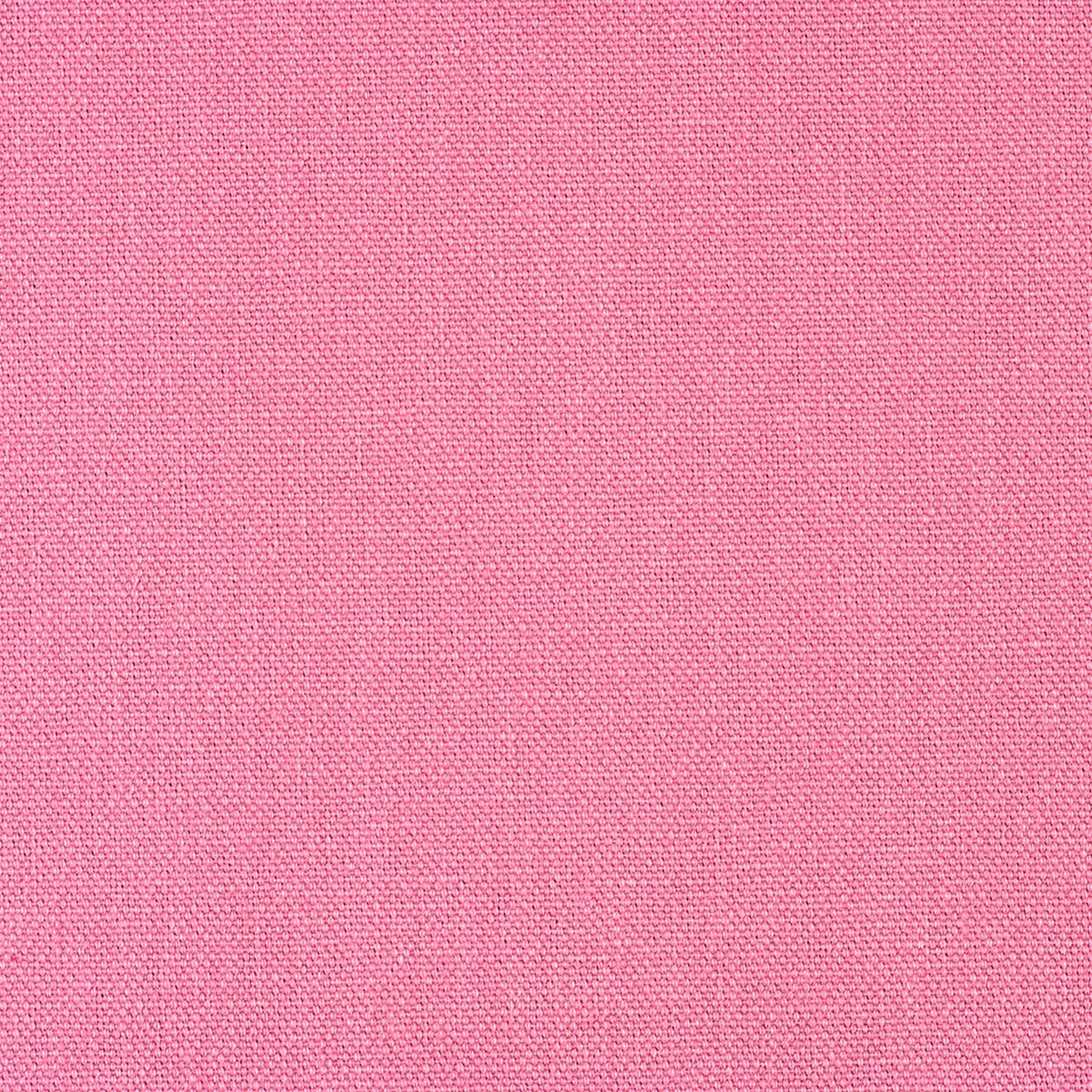 Rose ( pink)