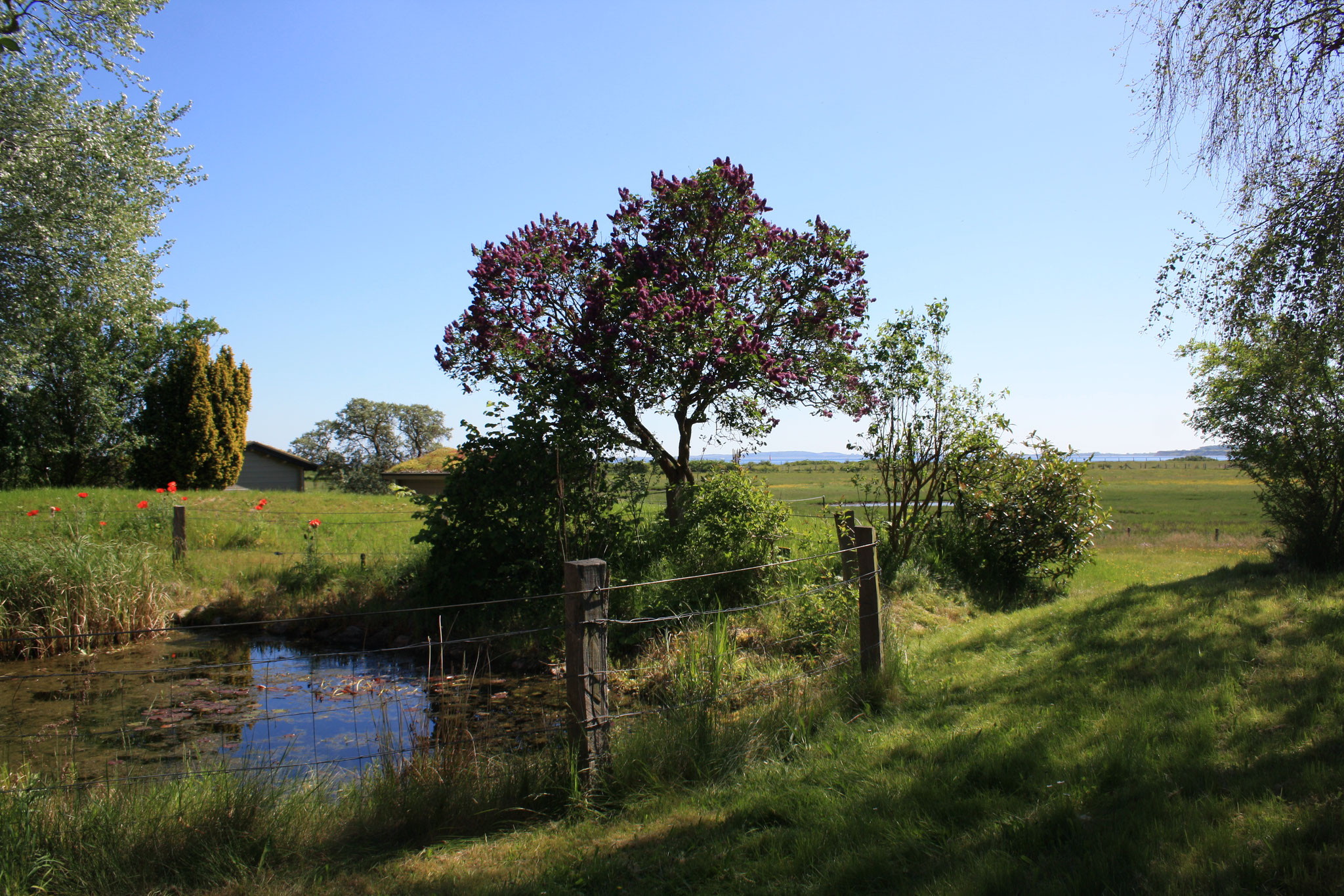 Teich
