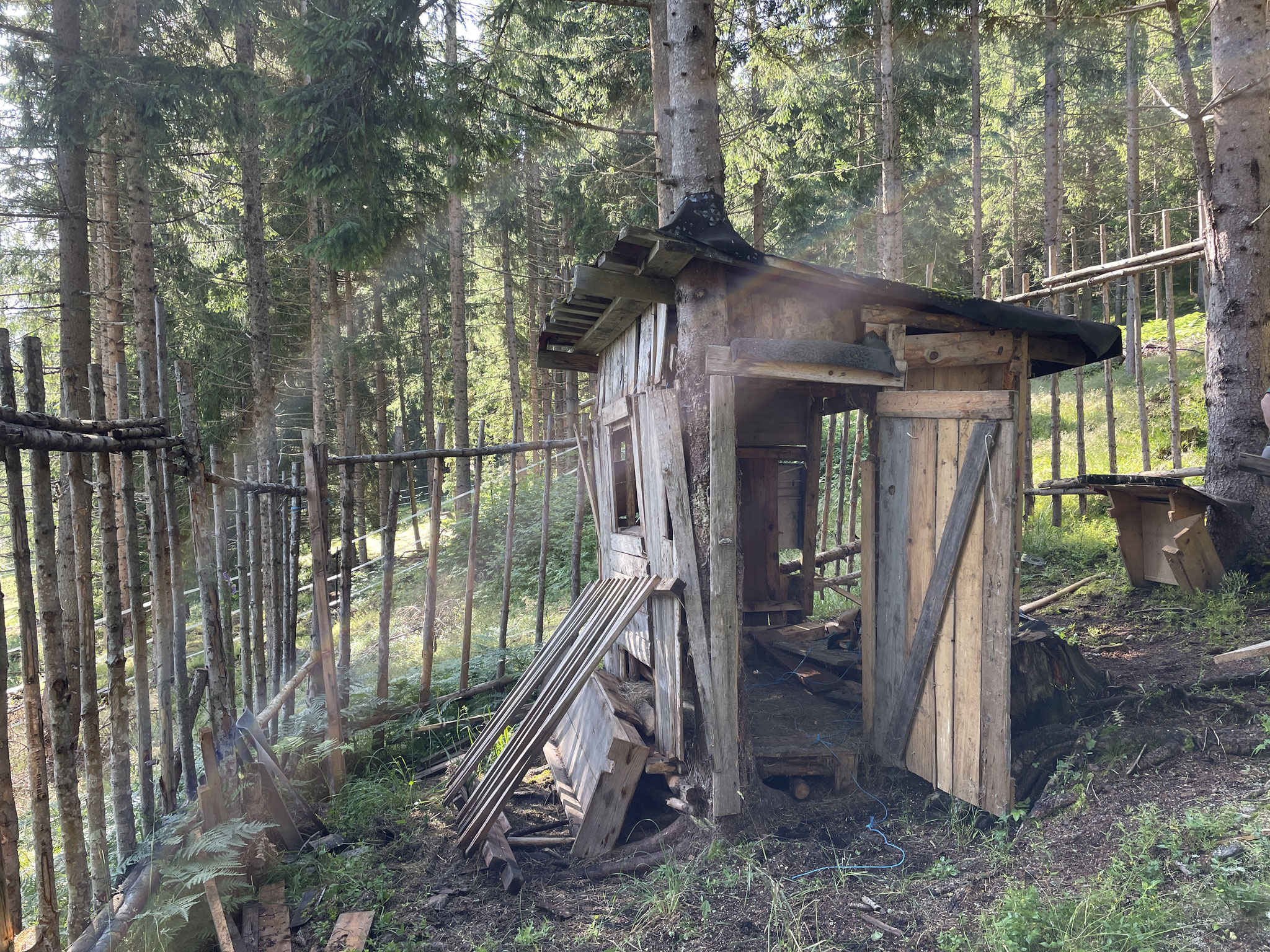 Abriss der alten Futterstellenanlage