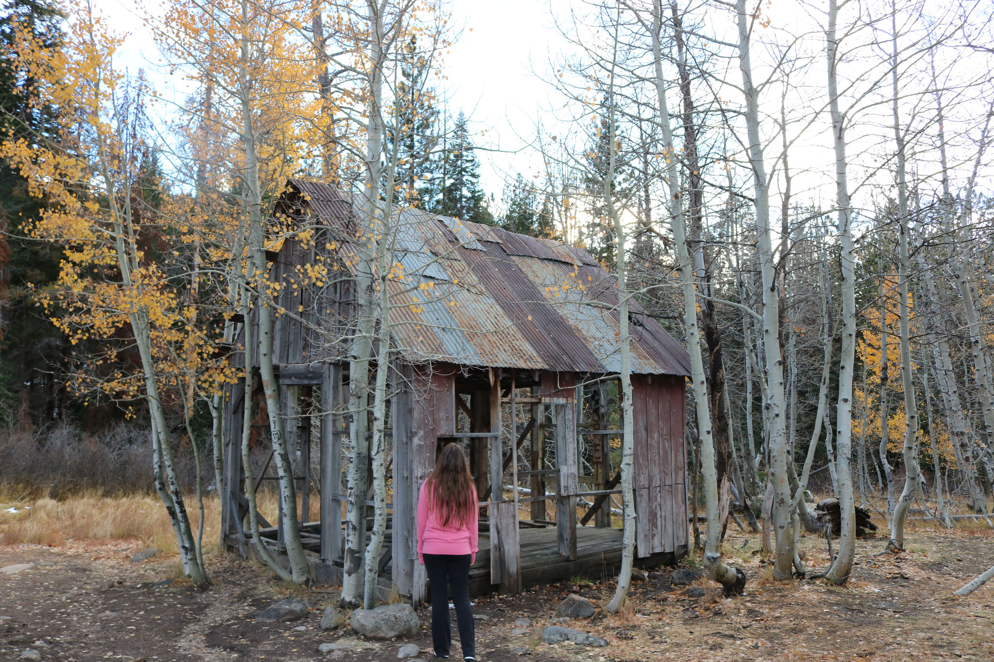 Abandoned Cabin In North Lake Tahoe X Byo Social Kanoe Pelfrey