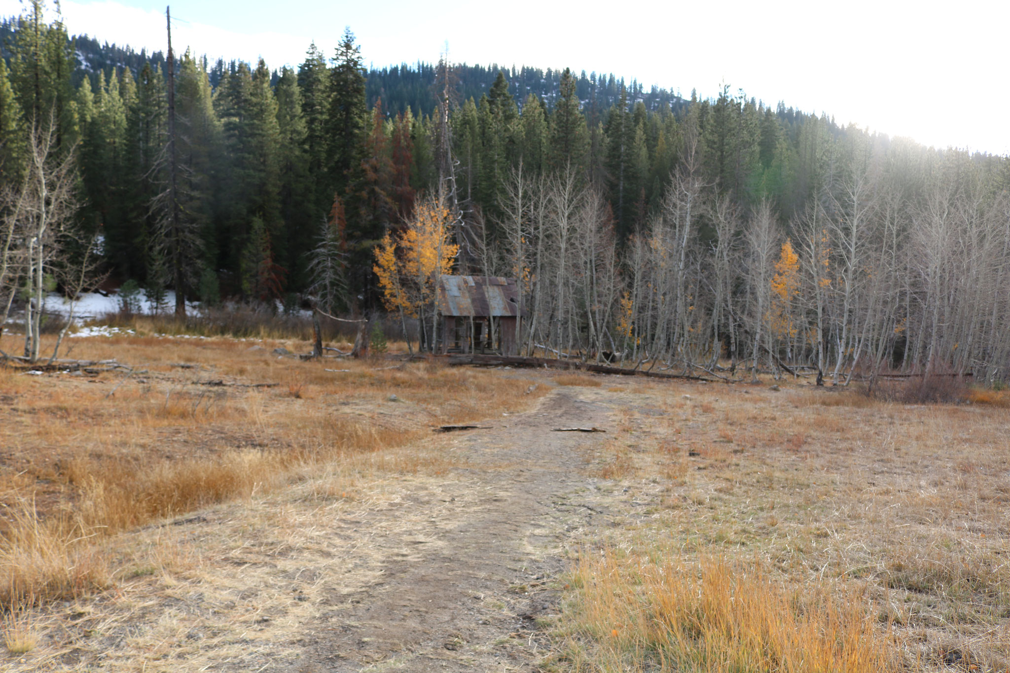 Abandoned Cabin In North Lake Tahoe X Byo Social Kanoe Pelfrey