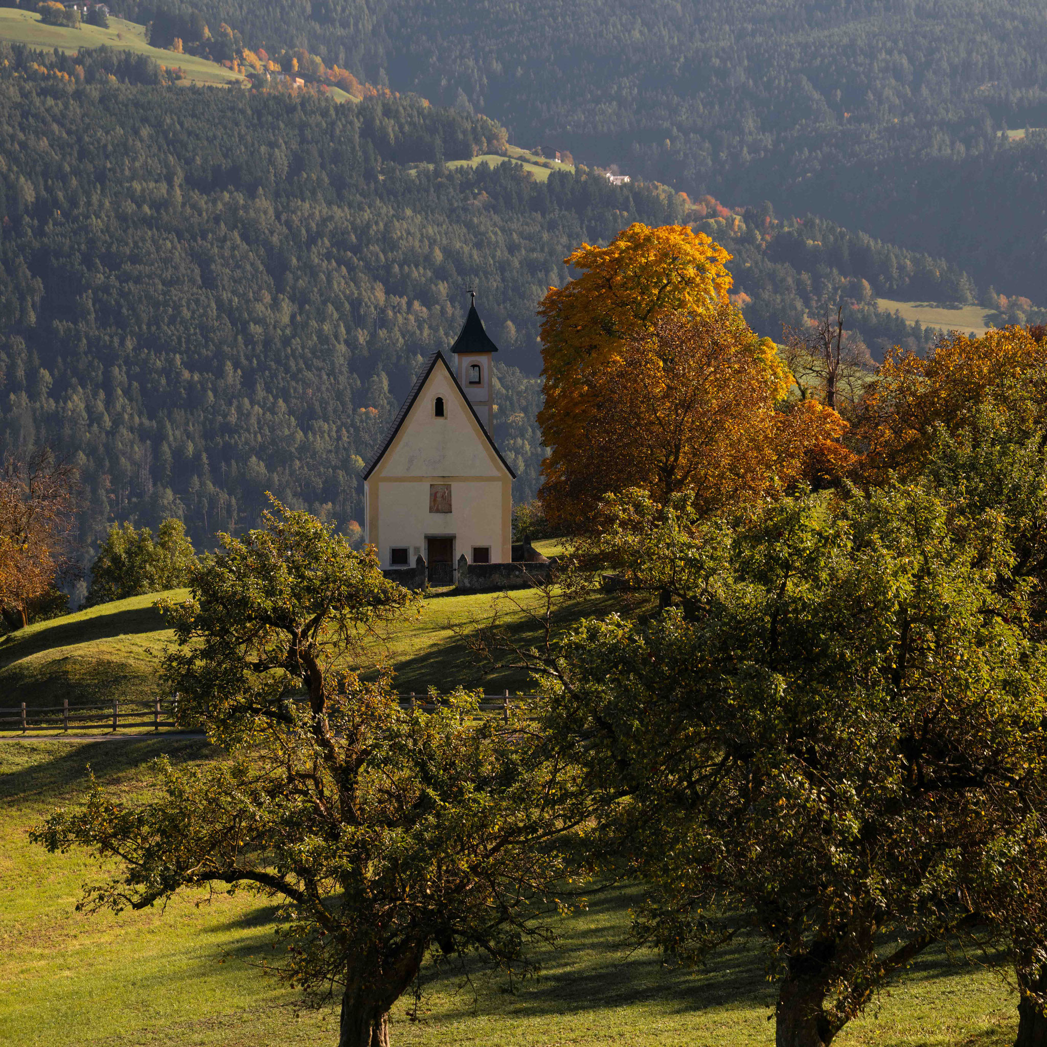 Zwischen goldenen Kastanien, Weinreben und Dolomitenblick wartet in Feldthurns eine der schönsten Genusswanderungen Südtirols: die Rundtour am Panoramaweg & Keschtnweg. Sonne im Gesicht, Laub unter den Füßen, Wein im Glas – und das Gefühl, dass der Herbst