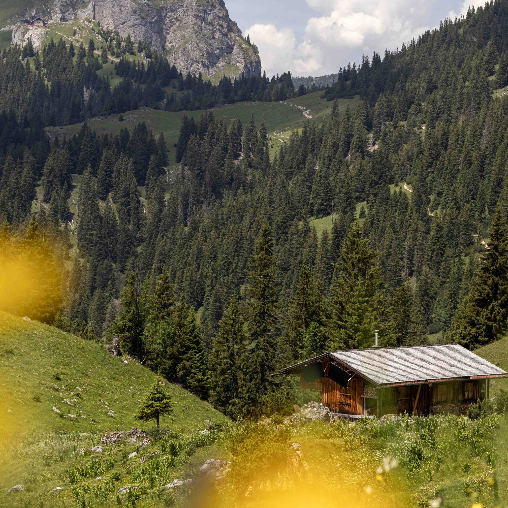 Almhütte in der Berglandschaft Almen, Bergwiesen und urige Hütten machen die Wanderung zur Bad Kissinger Hütte im Tannheimer Tal zu einem echten Naturerlebnis.