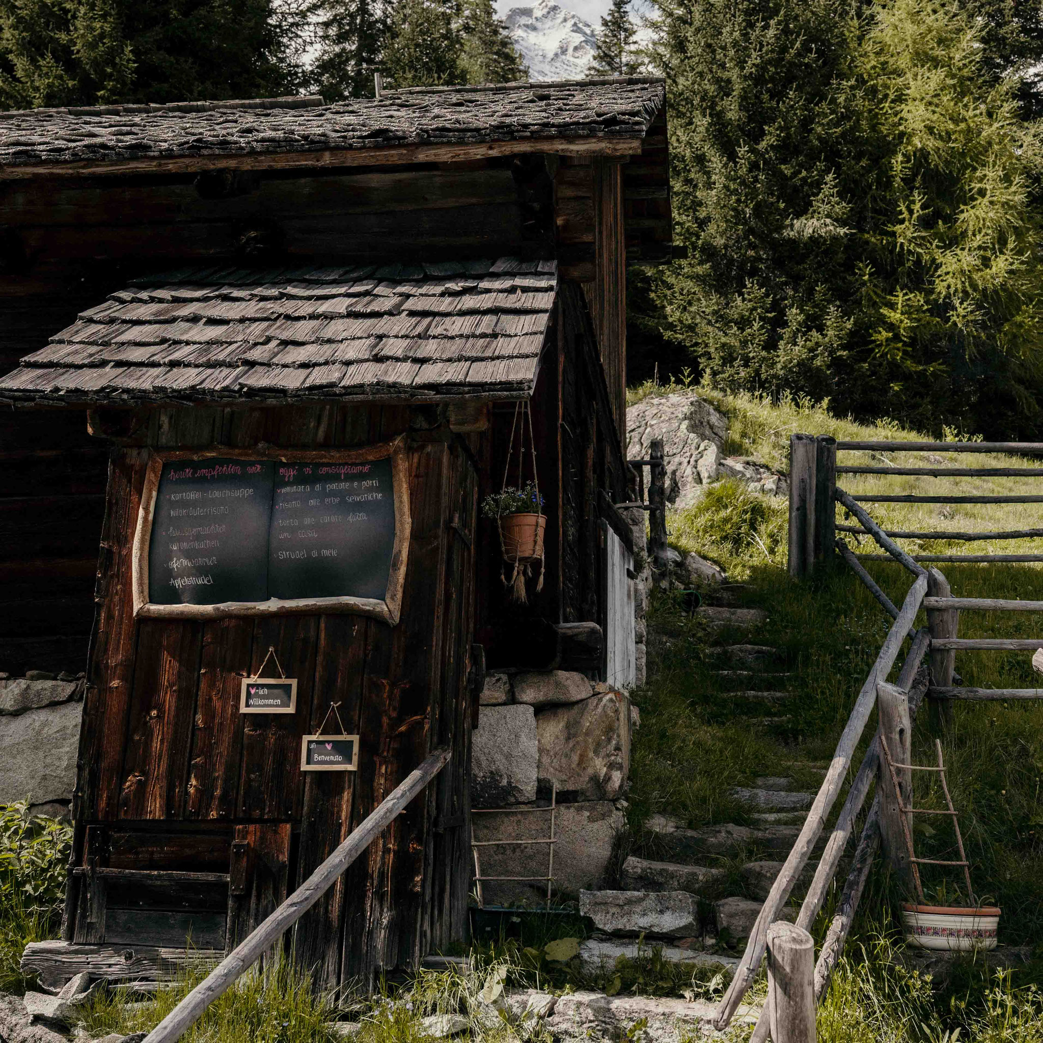 KLAMMBACHWASSERFALL & BERGER ALM Wasserfallwanderung im Antholzertal, Südtirol