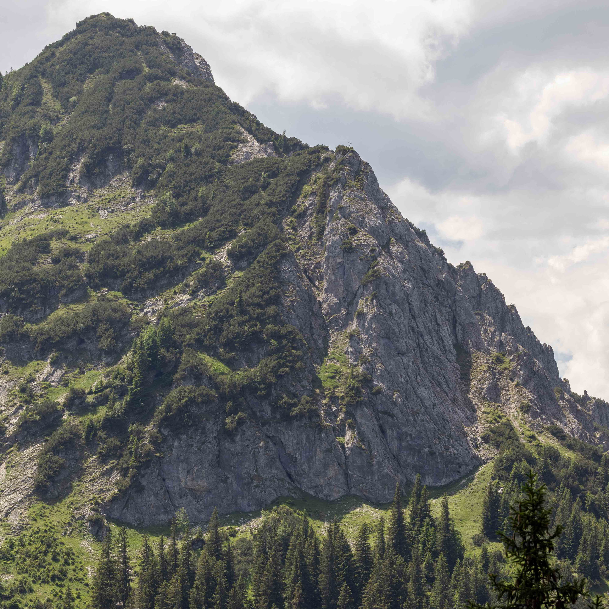 Almen, Bergwiesen und urige Hütten machen die Wanderung zur Bad Kissinger Hütte im Tannheimer Tal zu einem echten Naturerlebnis.