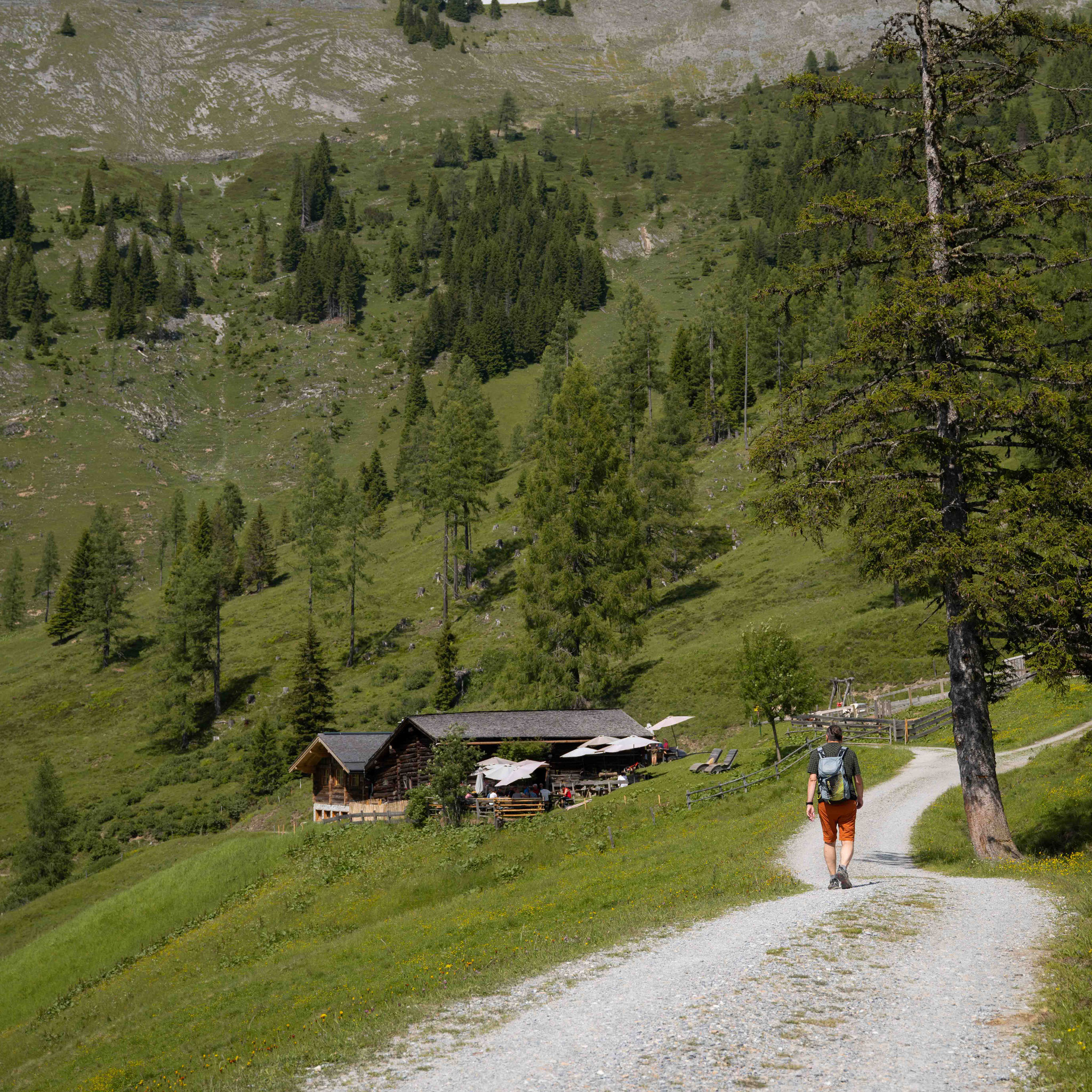 am Südtiroler Almenweg zur Karseggalm im Großarltal