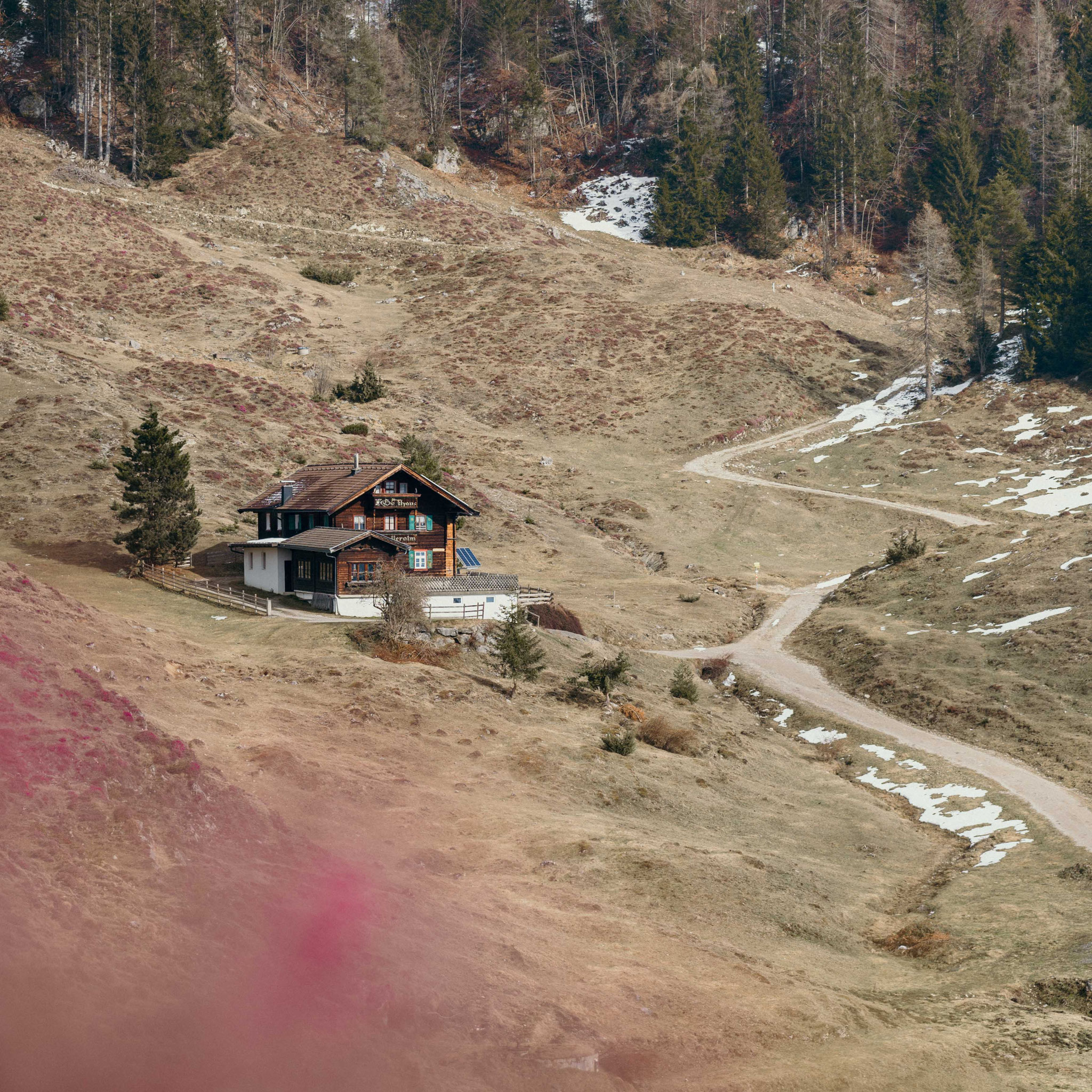 Wenn der Winter auf der einen Seite noch sein letztes Wort spricht und die Skifahrer talwärts schwingen, erwacht auf der Sonnenseite des Kaisergebirges schon der Frühling. Der Weg vom Hintersteiner See zur Walleralm wird dann zum Blütenschauspiel: Schneer