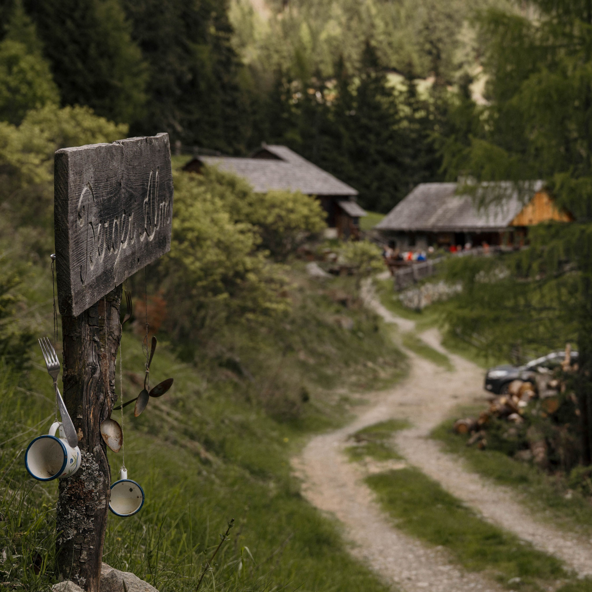 KLAMMBACHWASSERFALL & BERGER ALM Wasserfallwanderung im Antholzertal, Südtirol