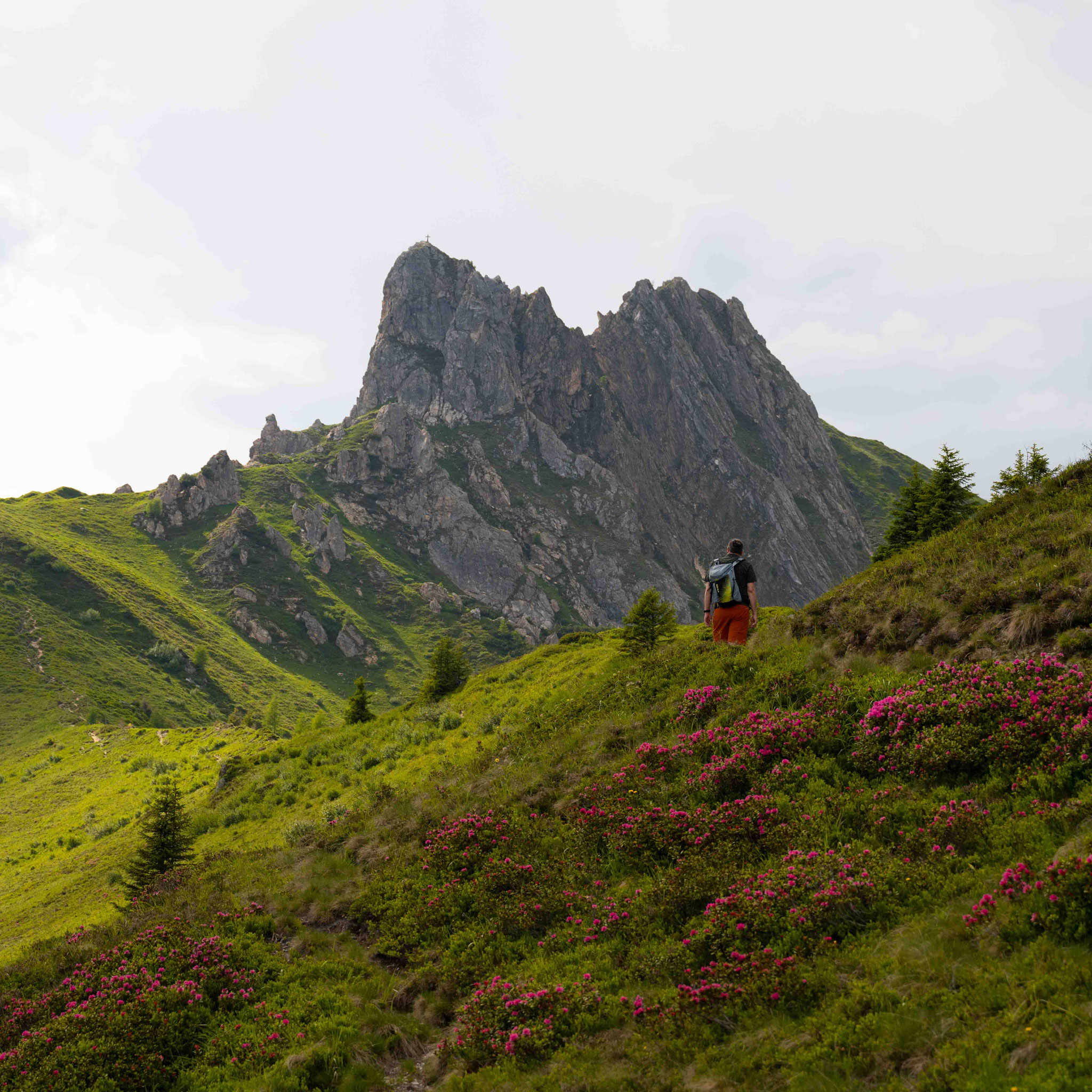 RUNDWANDERUNG AUF DEN SCHUHFLICKER IN GROSSARL Zwischen Almrosen, Gipfelglück und eiskaltem Bergsee. SALZBURG: GROSSARLTAL   Die Rundwanderung auf den Schuhflicker zählt zu den schönsten Aussichtstouren im Großarltal.