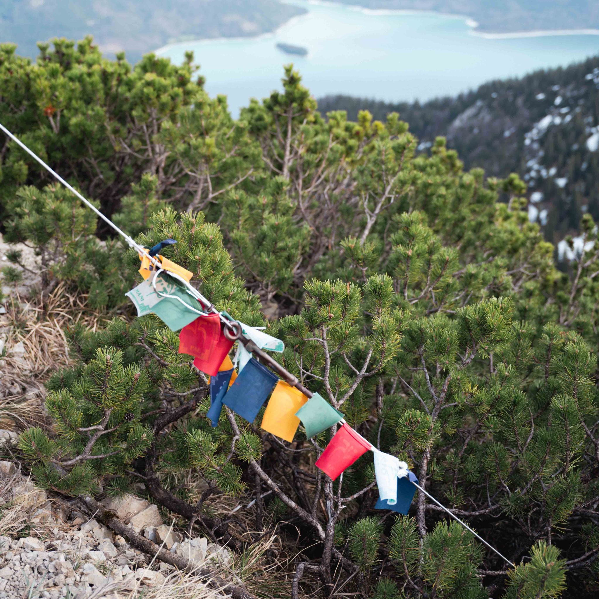 Der Herzogstand ist einer der bekanntesten Aussichtsberge rund um den Walchensee – und genau deshalb nie ganz für sich allein. Wer den kurzen Anstieg von der Bergstation auf sich nimmt, wird dafür mit einem der eindrucksvollsten Panoramablicke der Region 