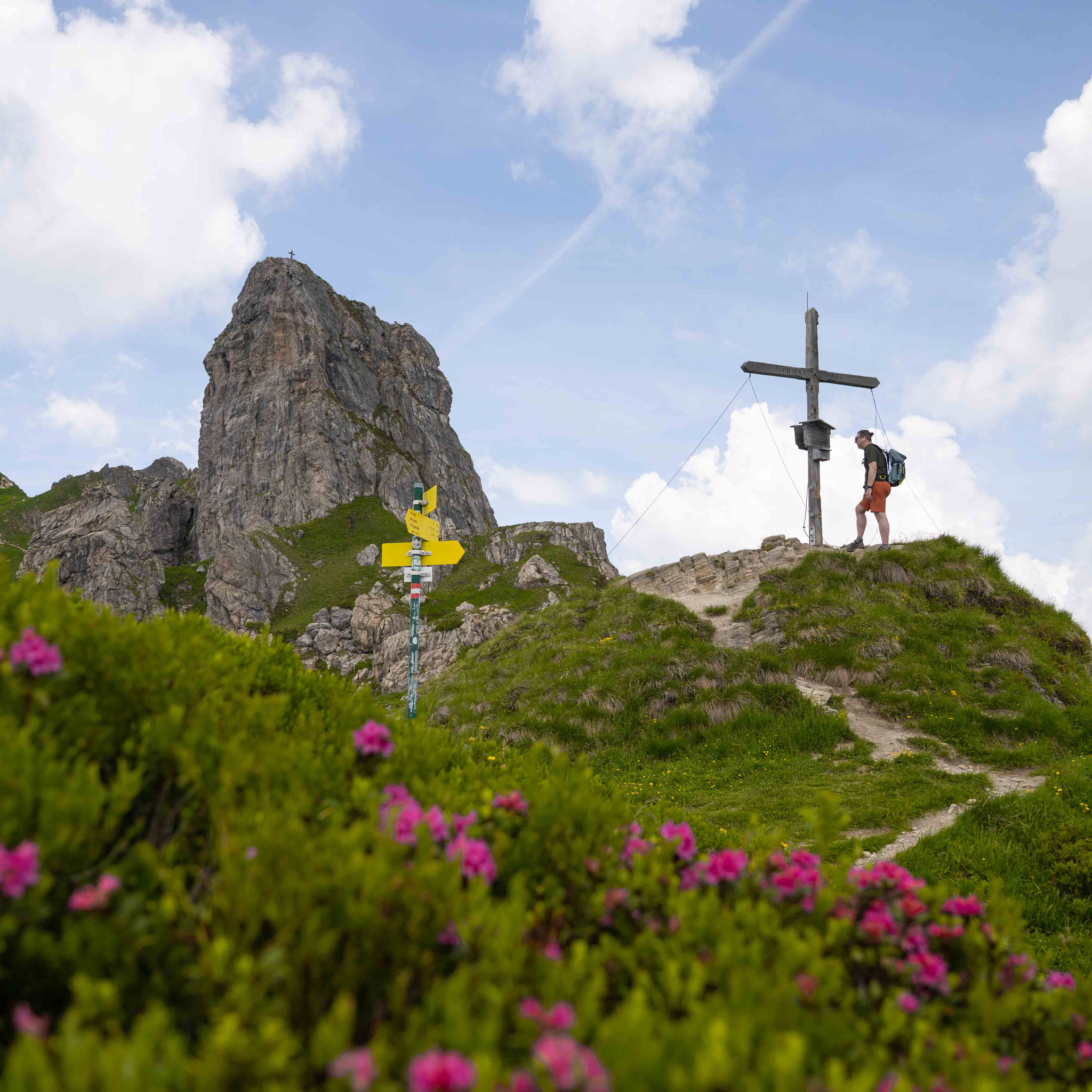 RUNDWANDERUNG AUF DEN SCHUHFLICKER IN GROSSARL Zwischen Almrosen, Gipfelglück und eiskaltem Bergsee. SALZBURG: GROSSARLTAL   Die Rundwanderung auf den Schuhflicker zählt zu den schönsten Aussichtstouren im Großarltal.