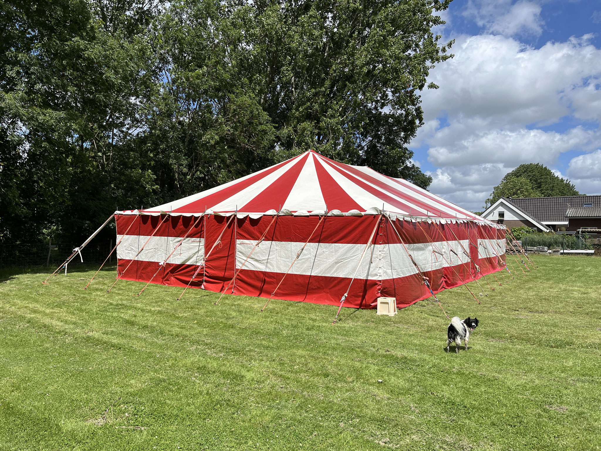 De circustent voor de zomerweek van Park21