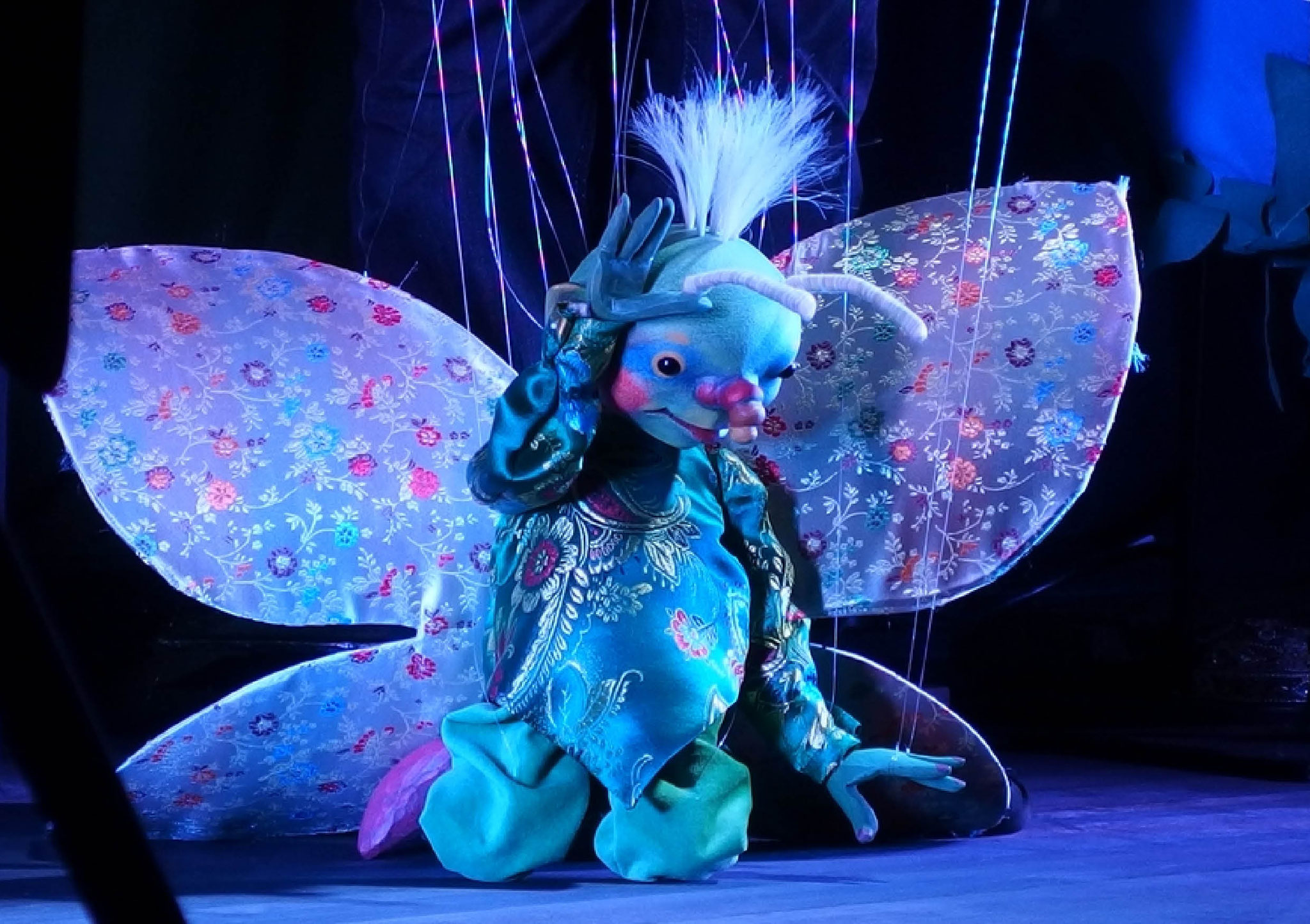 Prinz Tulipan: Marionettentheater Zaubervogel