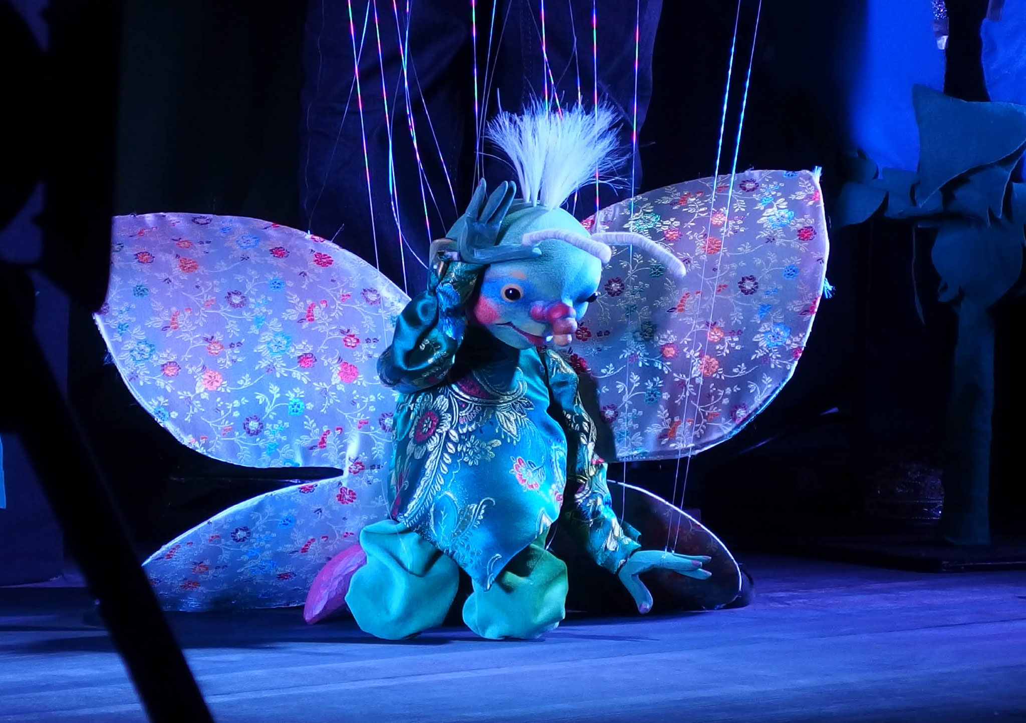 Marionettentheater Zaubervogel: Prinz Tulipan