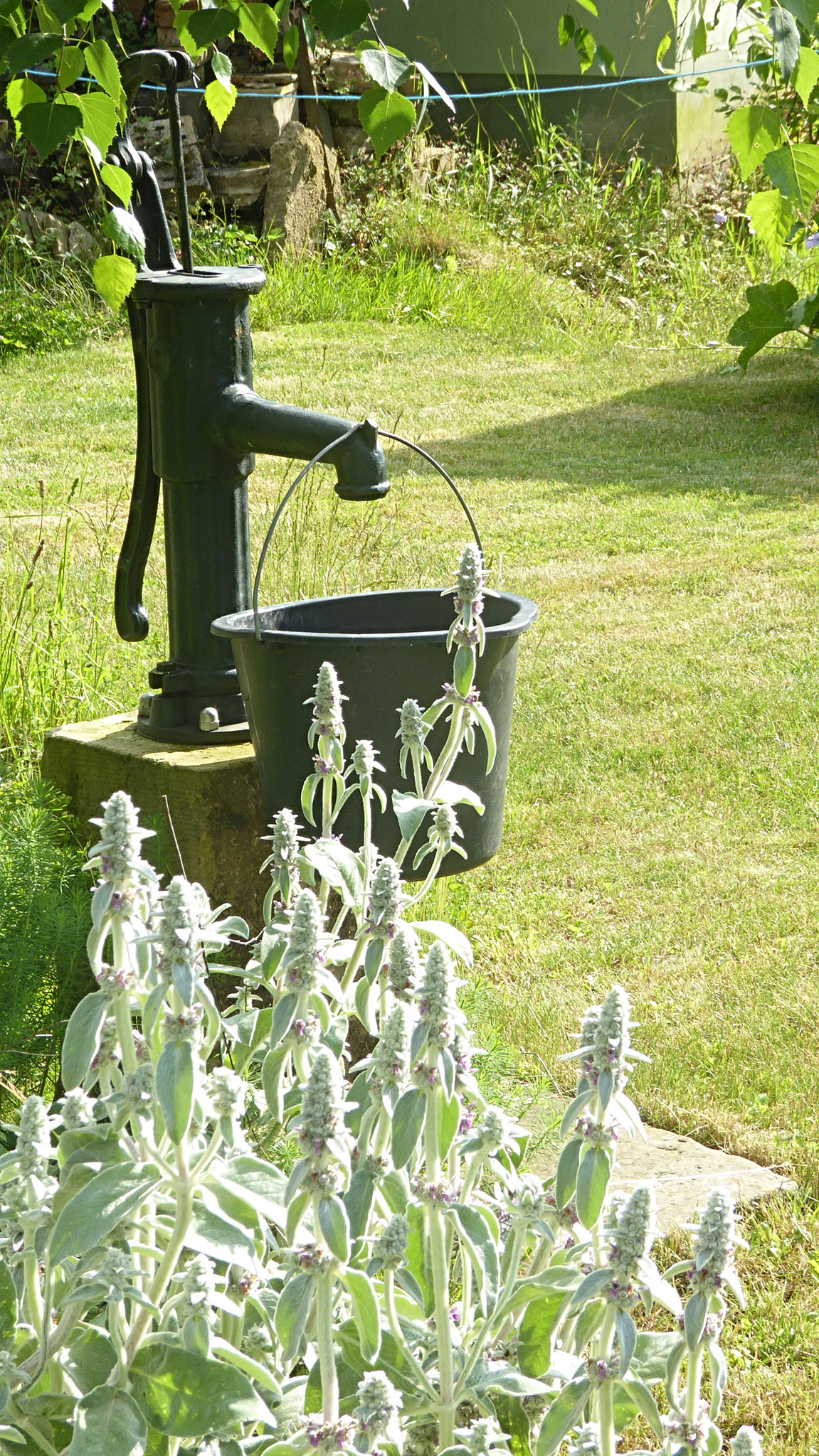 Piskowitz, Wasserspender 