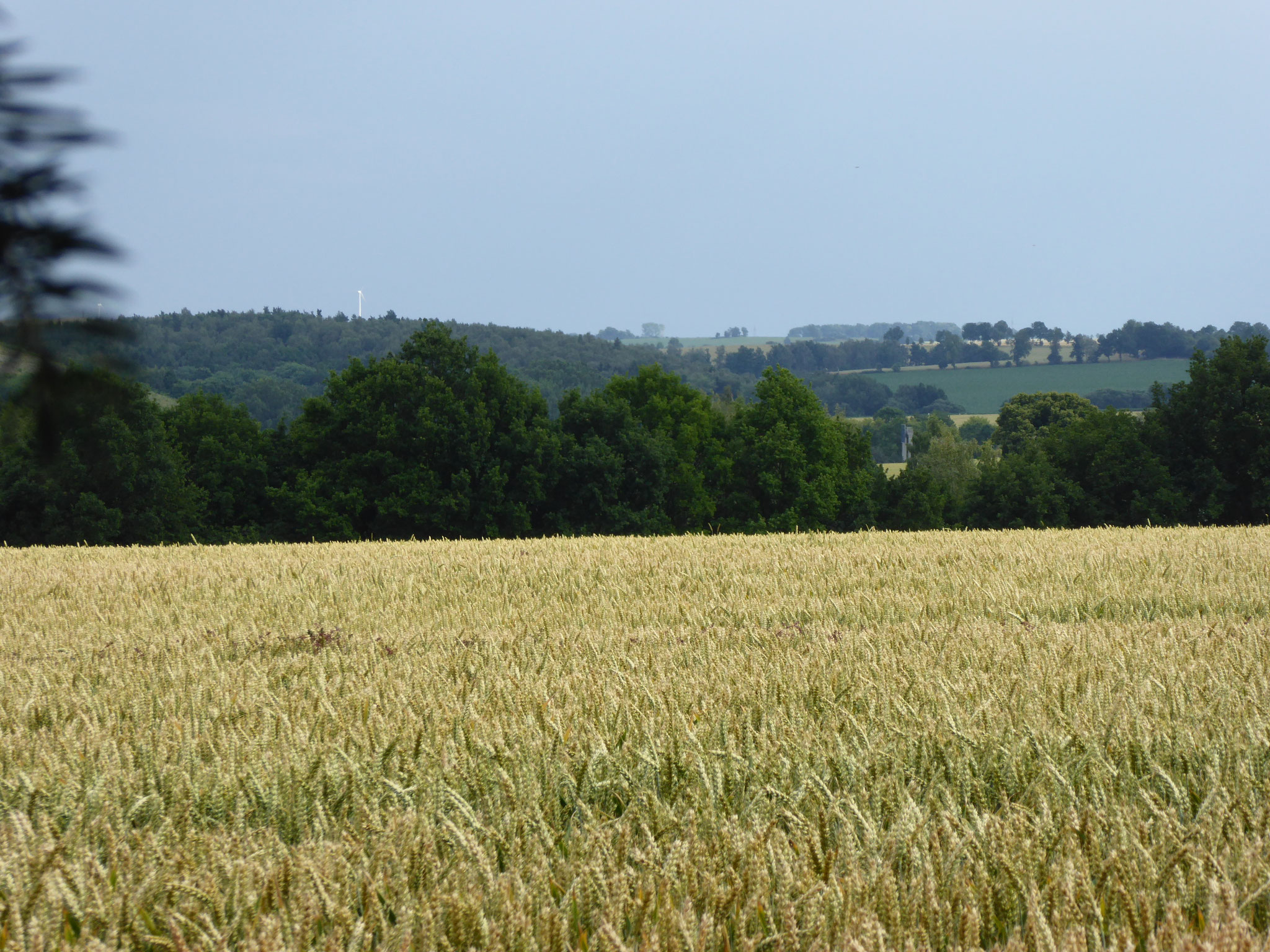 freier Blick