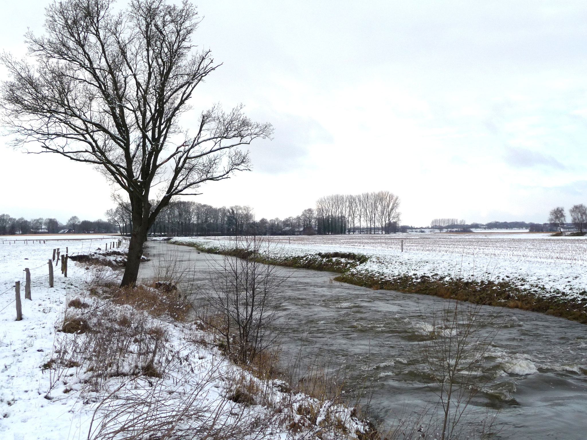 Foto: Gerd Busmann; Winterlandschaft an der Vechte