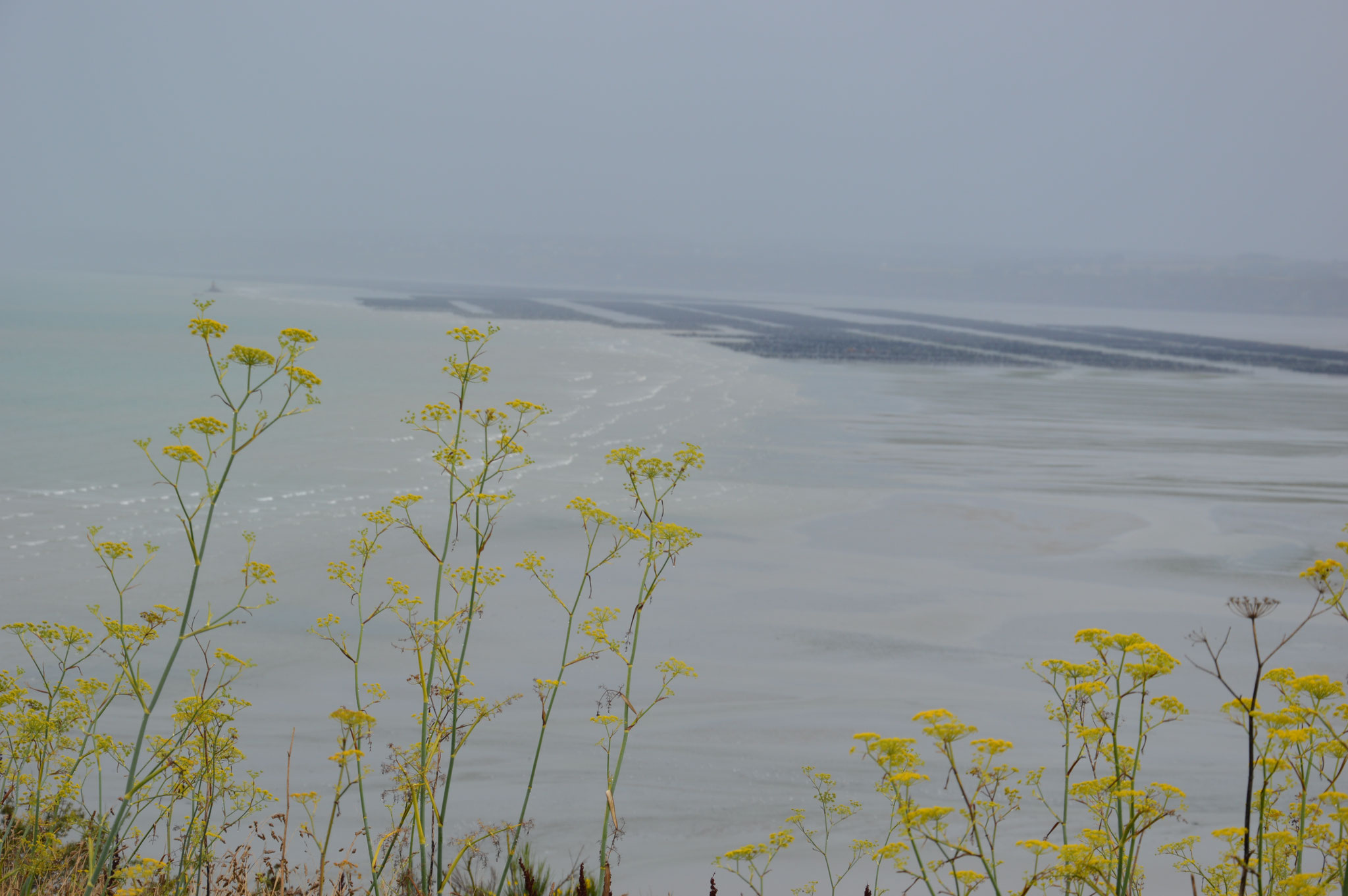  La Baie de St-Brieuc à marée basse depuis Plérin