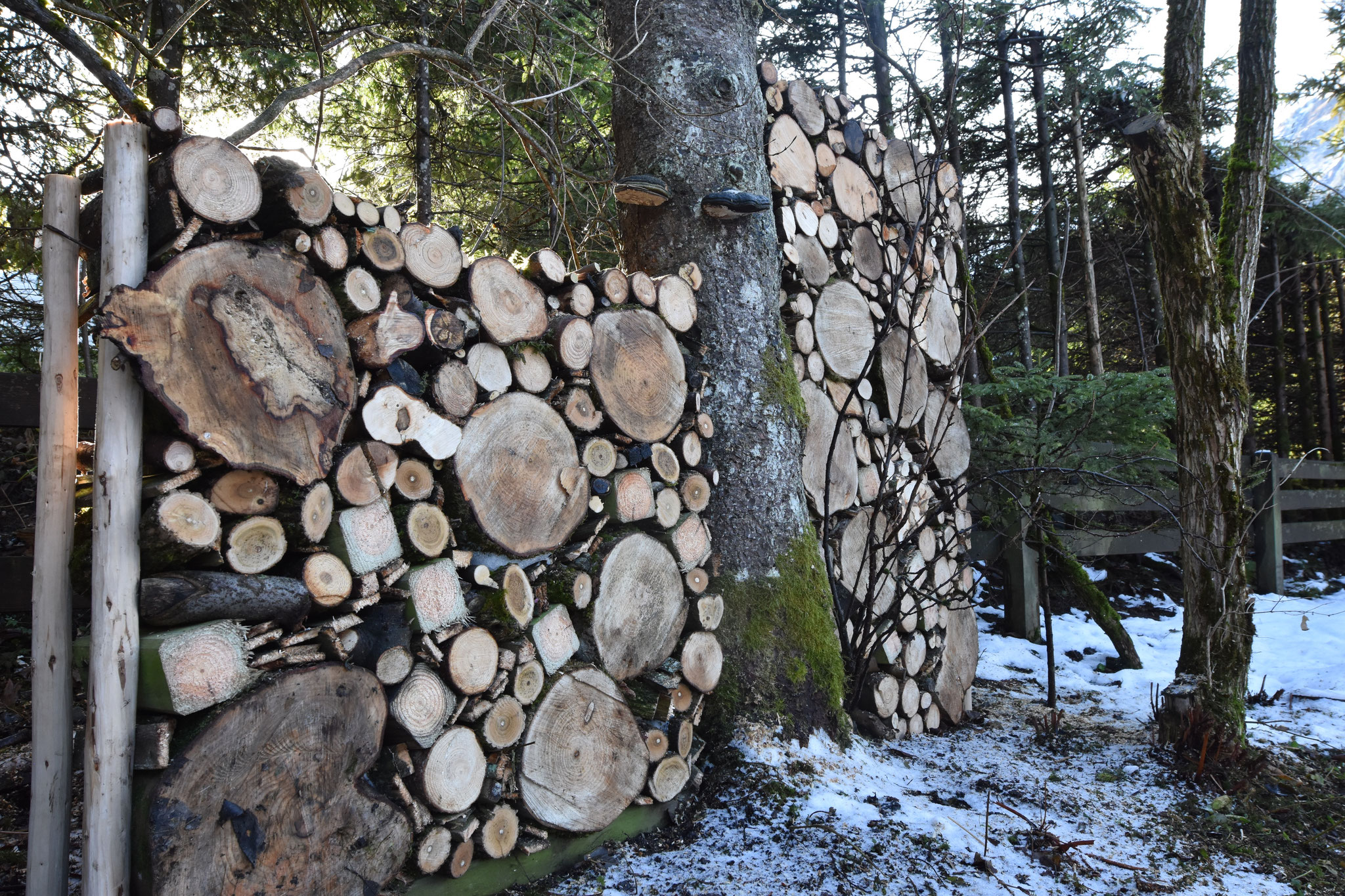 Sichtschutzwand Aus Holz Mavoals Webseite Sichtschutzwand Aus Holz Mavoals Webseite
