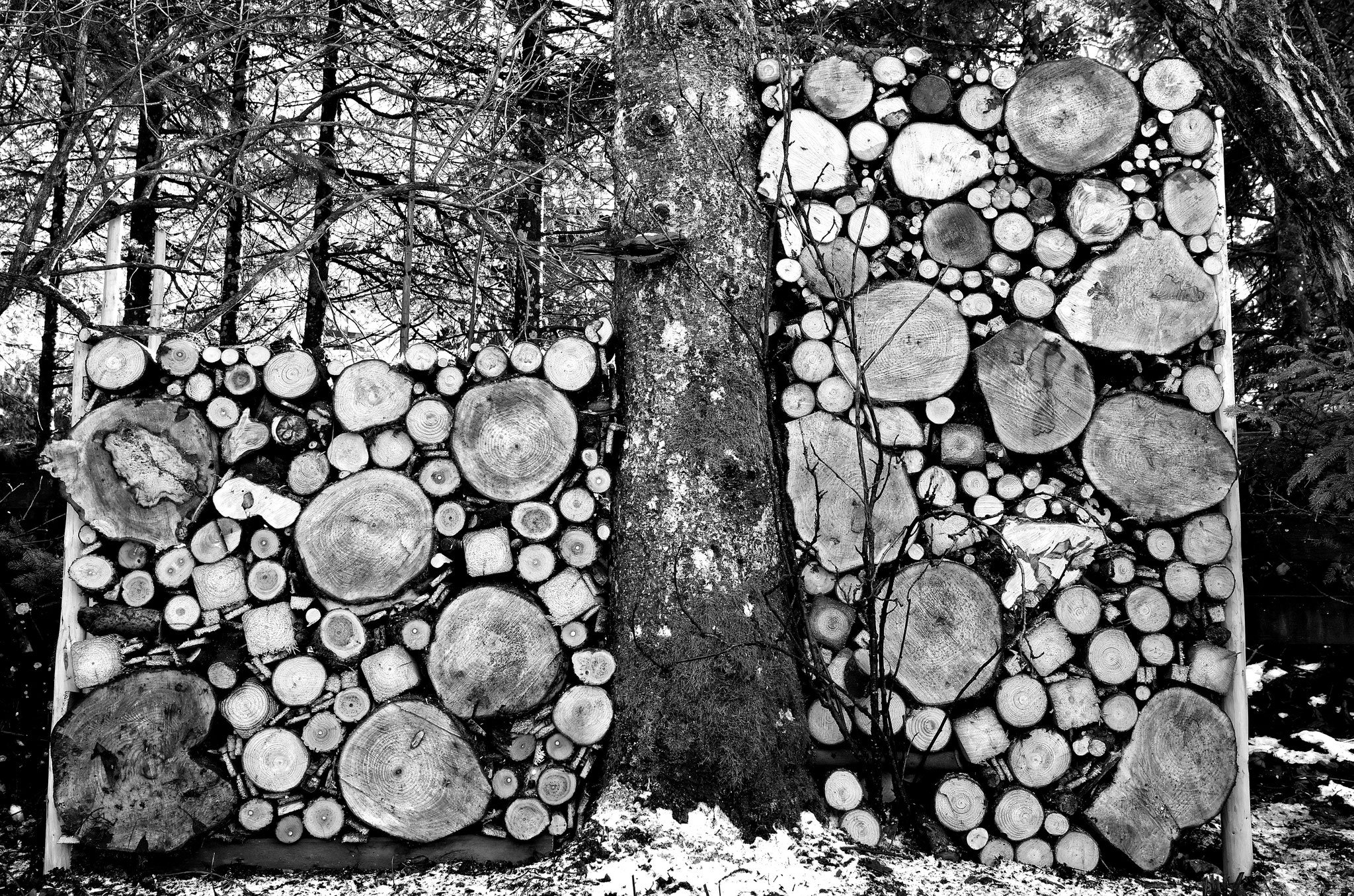 Sichtschutzwand Aus Holz Mavoals Webseite Sichtschutzwand Aus Holz Mavoals Webseite