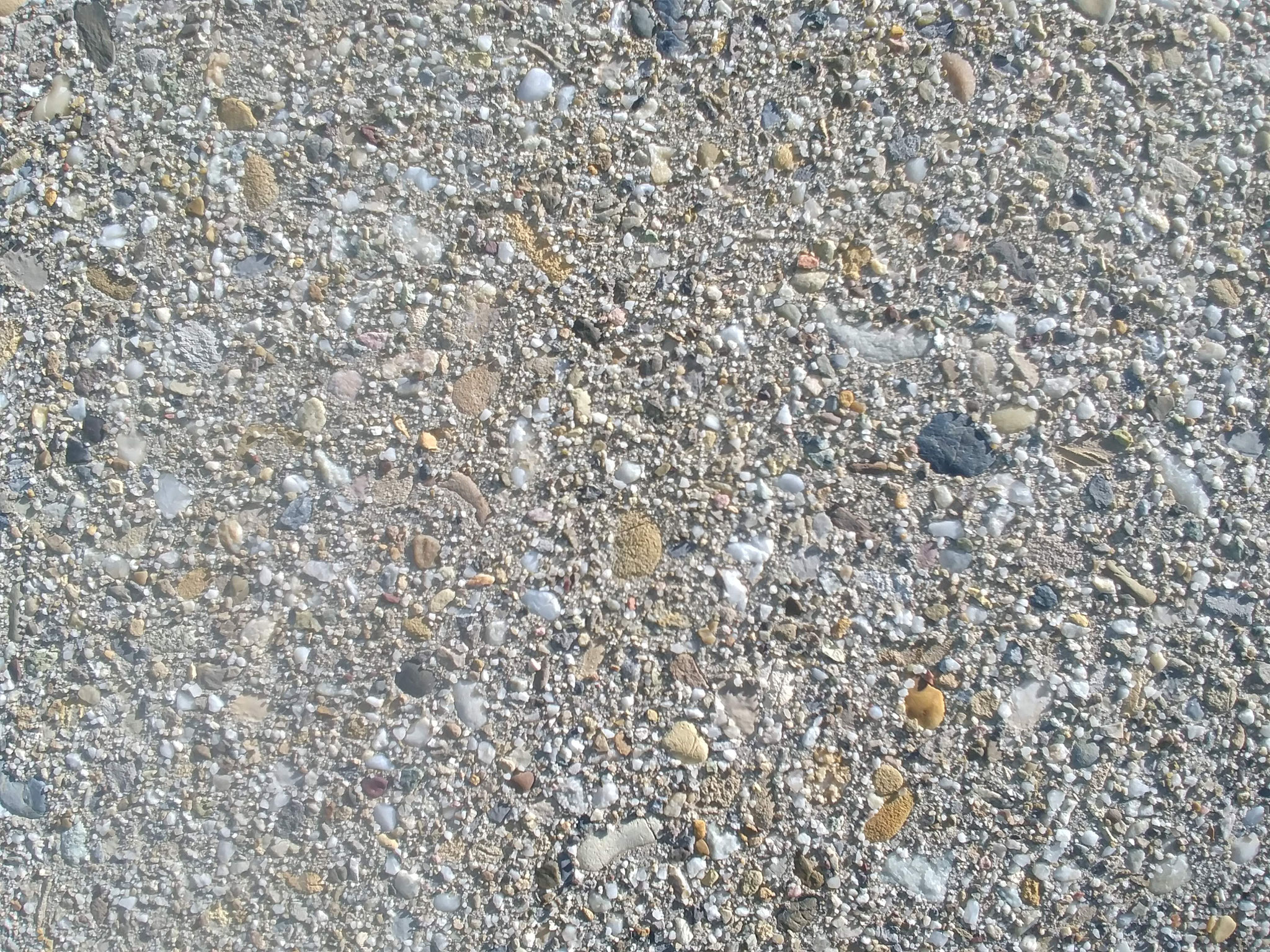 Magnolienpark Rhodonia, Basel Sulzer Bauchemie GmbH