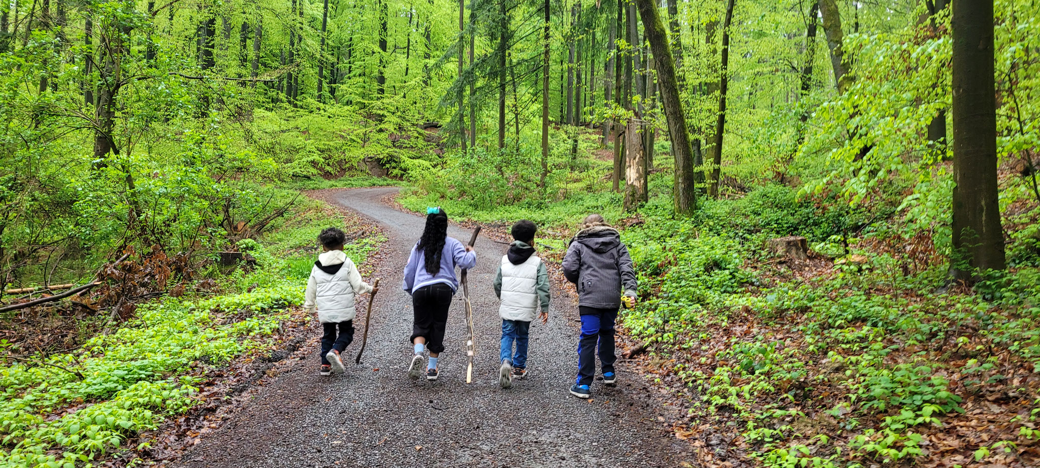 4 Kinder laufen einen mit Buchenwald umsäumten Weg 