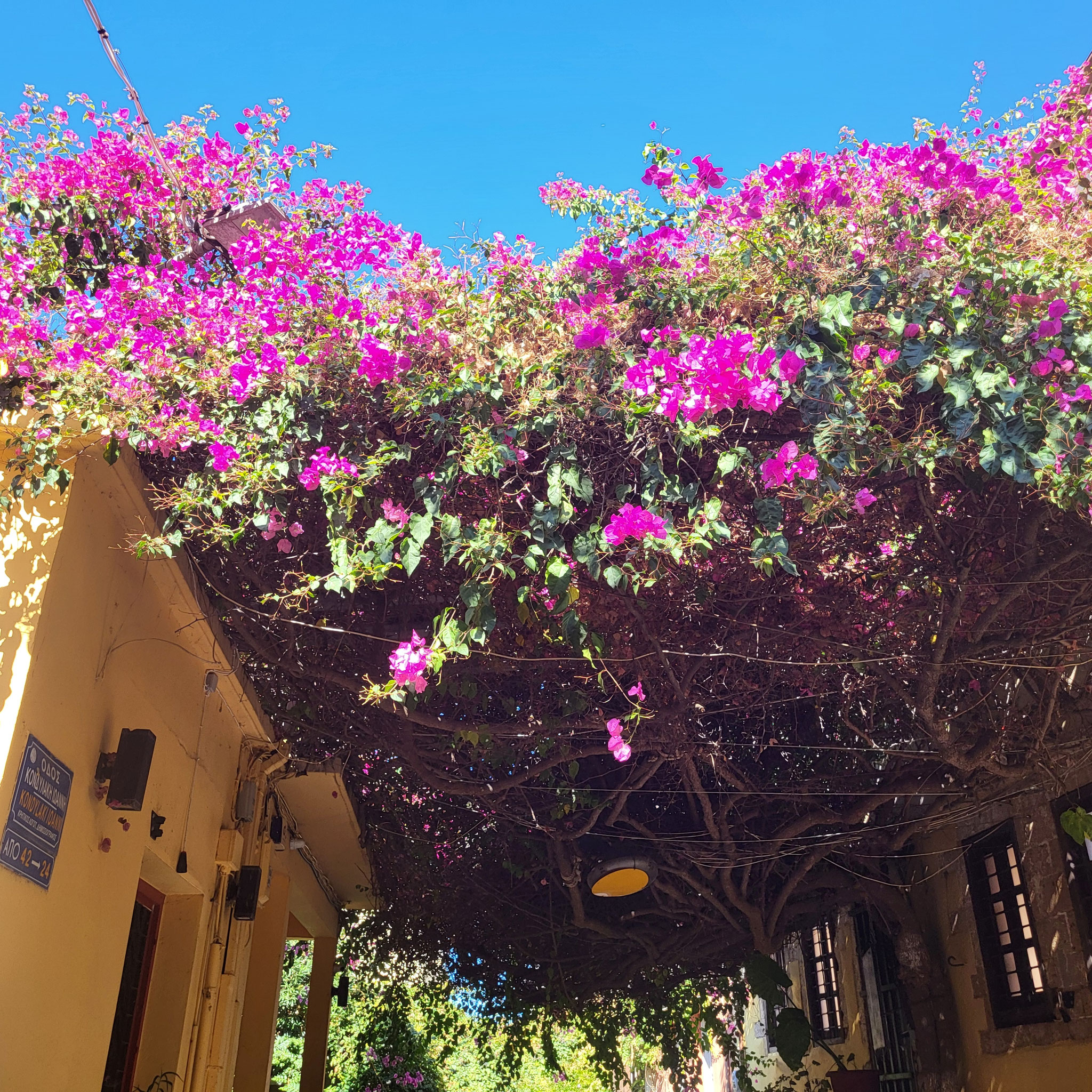 Kreta so was schönes ist überall zu finden