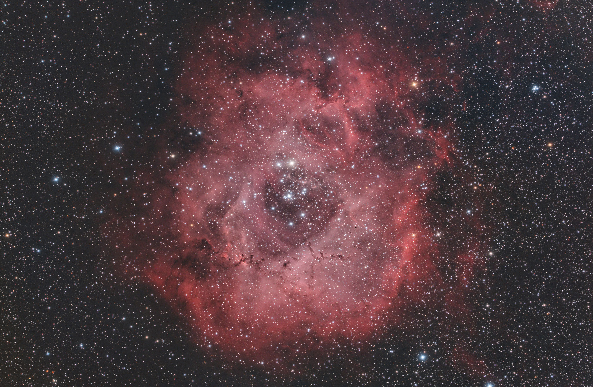 NGC 2237, EdgeHD11" mit Hyperstar, Alccd10, IDAS-LPS-P2 Filter, 69x300s