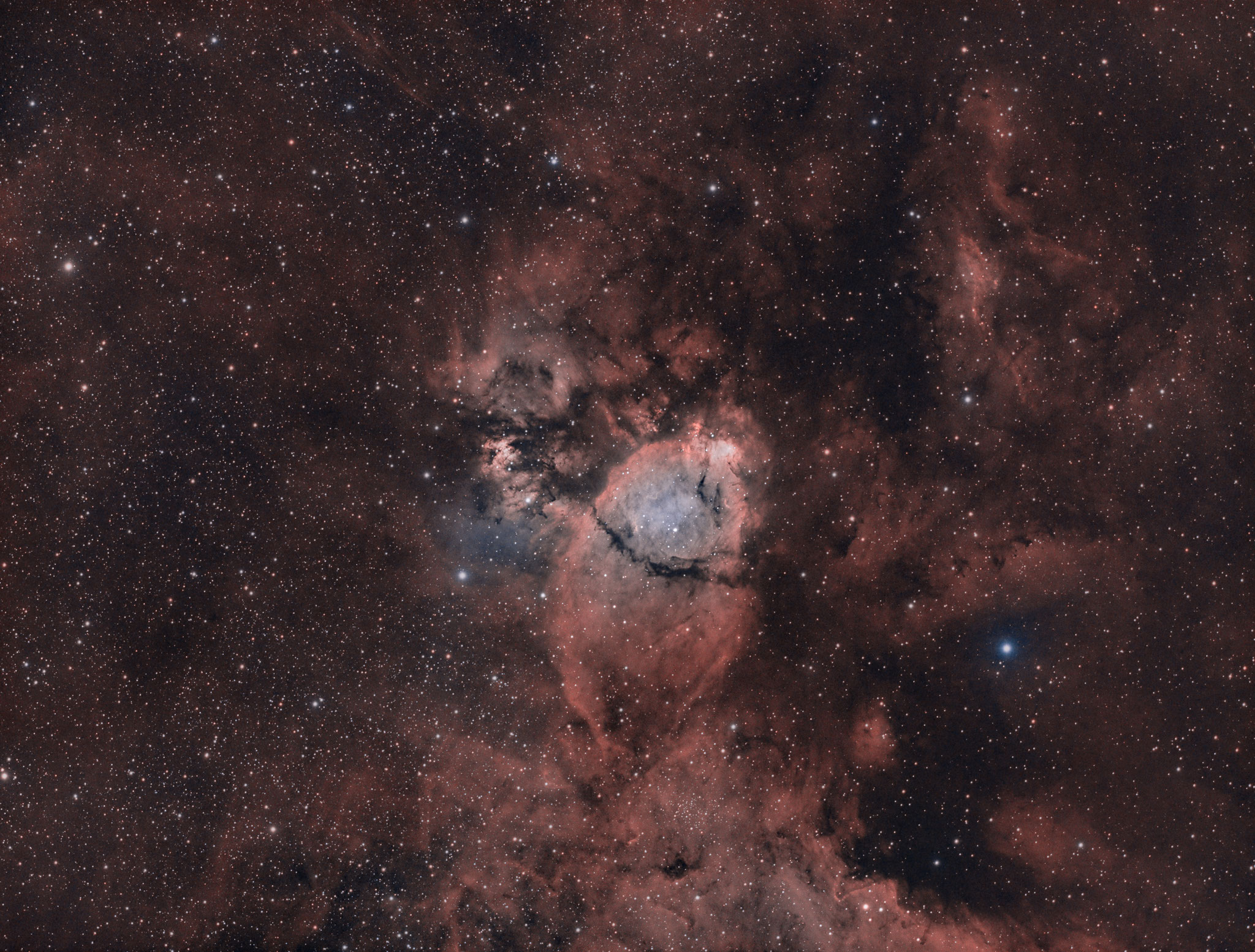 IC 1795; Fischkopfnebel; APM LZOS 130/780, Riccardi-Reducer f=585mm; Ha 105x180s, OIII 100x180s; Astronomik Ha / OIII Filter 12nm