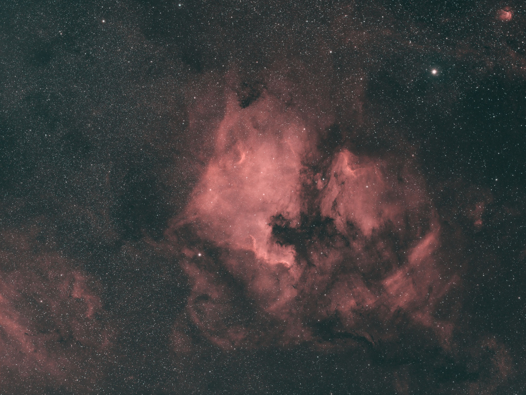 NGC 7000; Samyang 135mm; Ha (7nm) 25x180s, OIII (8,5nm) 16x180s, Pseudo LRGB mit Ha als Luminaz, R:Ha, G:OIII, B:OIII