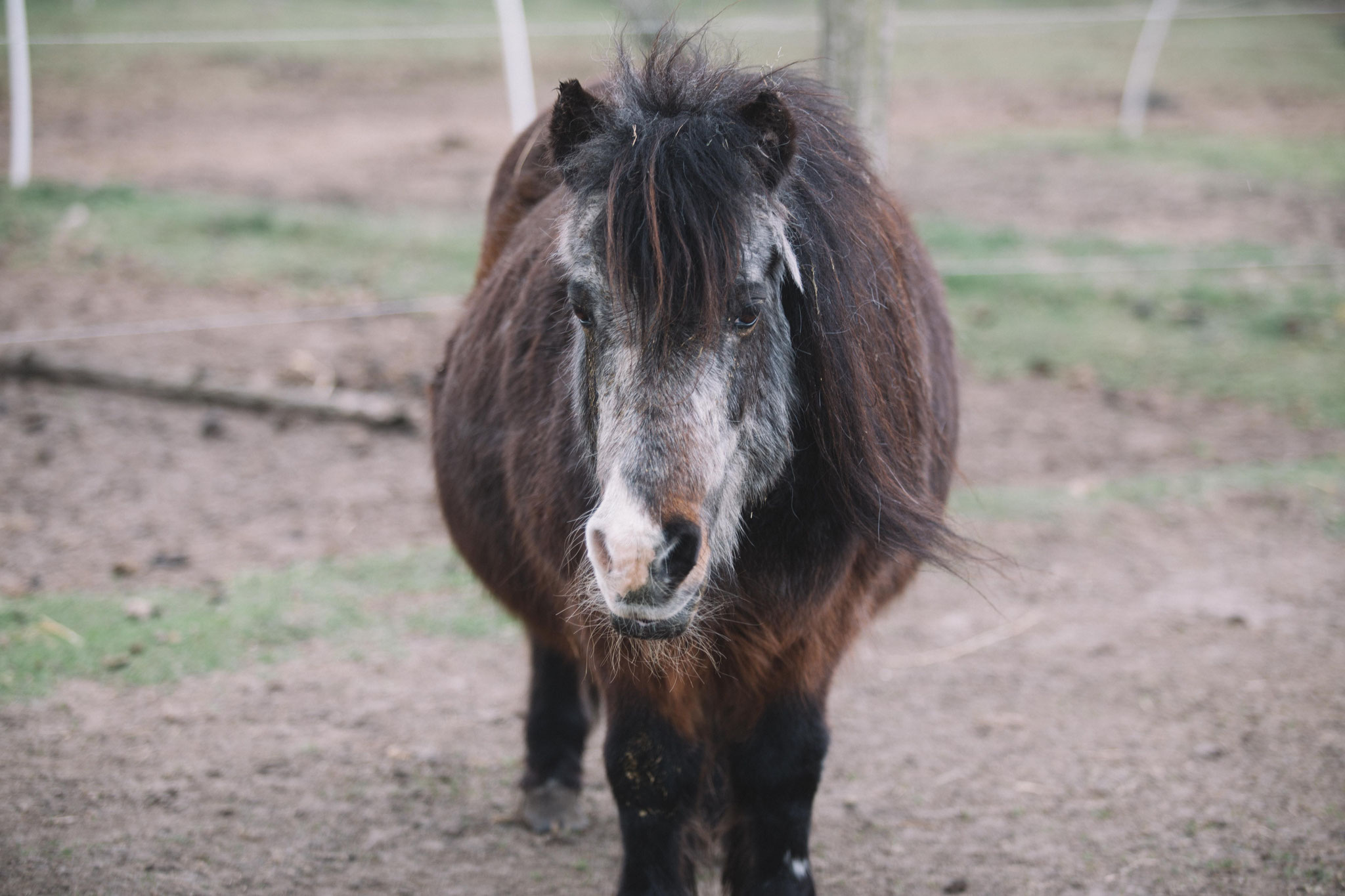 Unsere 38 jährige Heidi