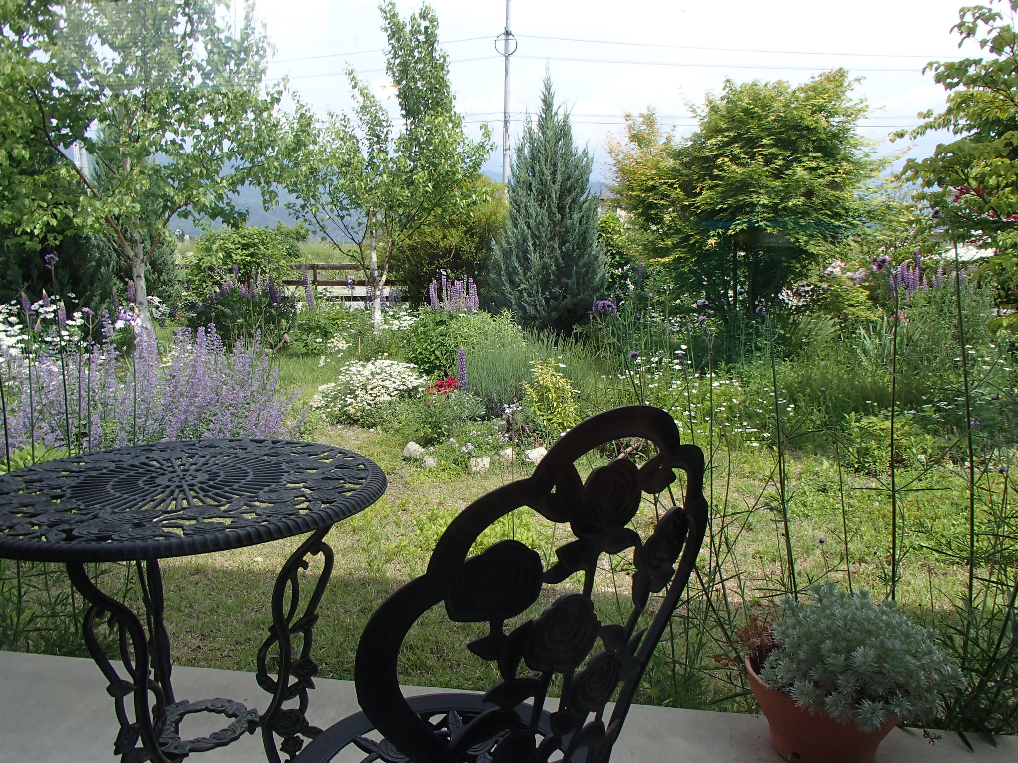 Topページ カフェ 山ぼうし ホームページ