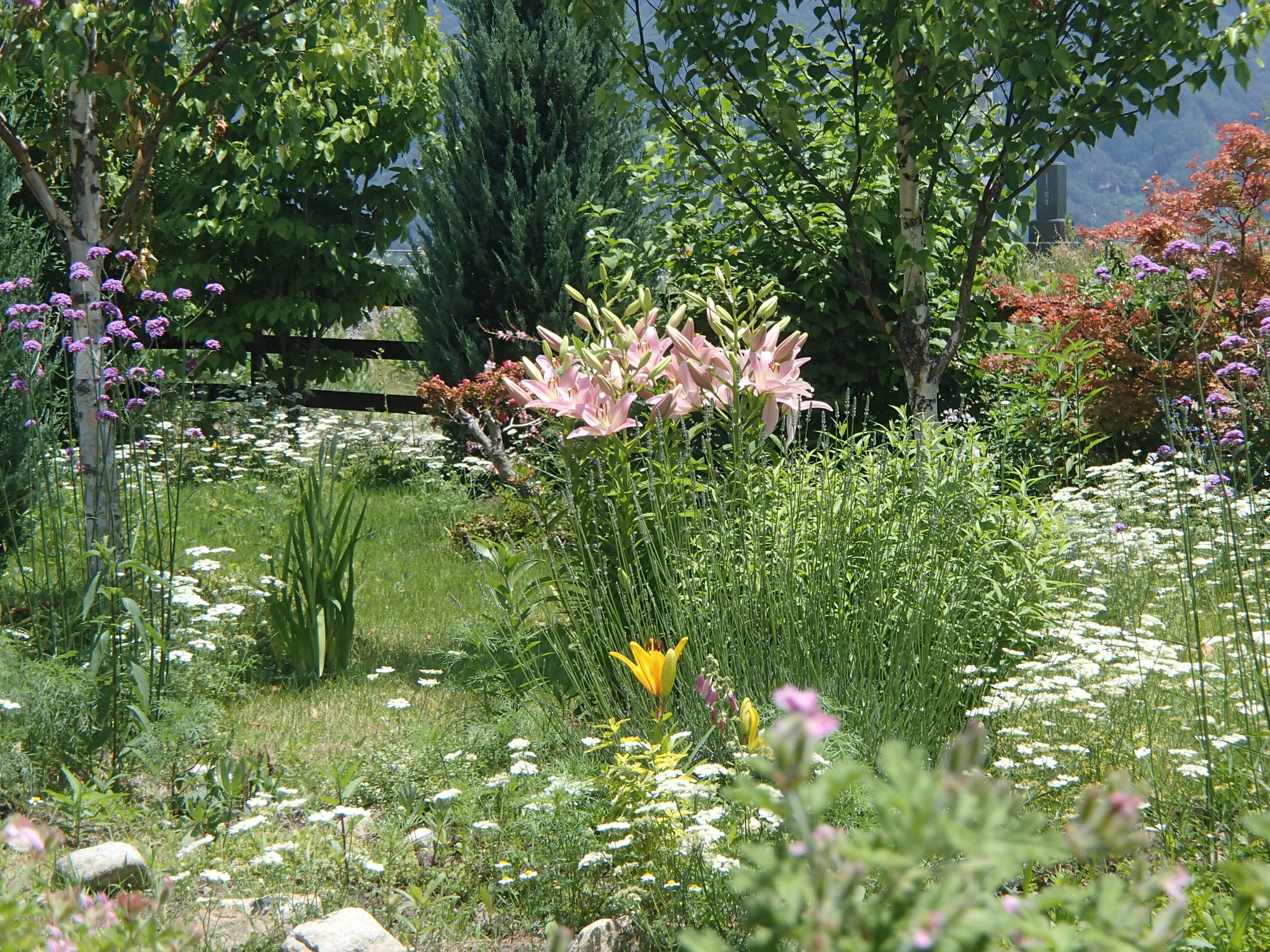 Topページ カフェ 山ぼうし ホームページ