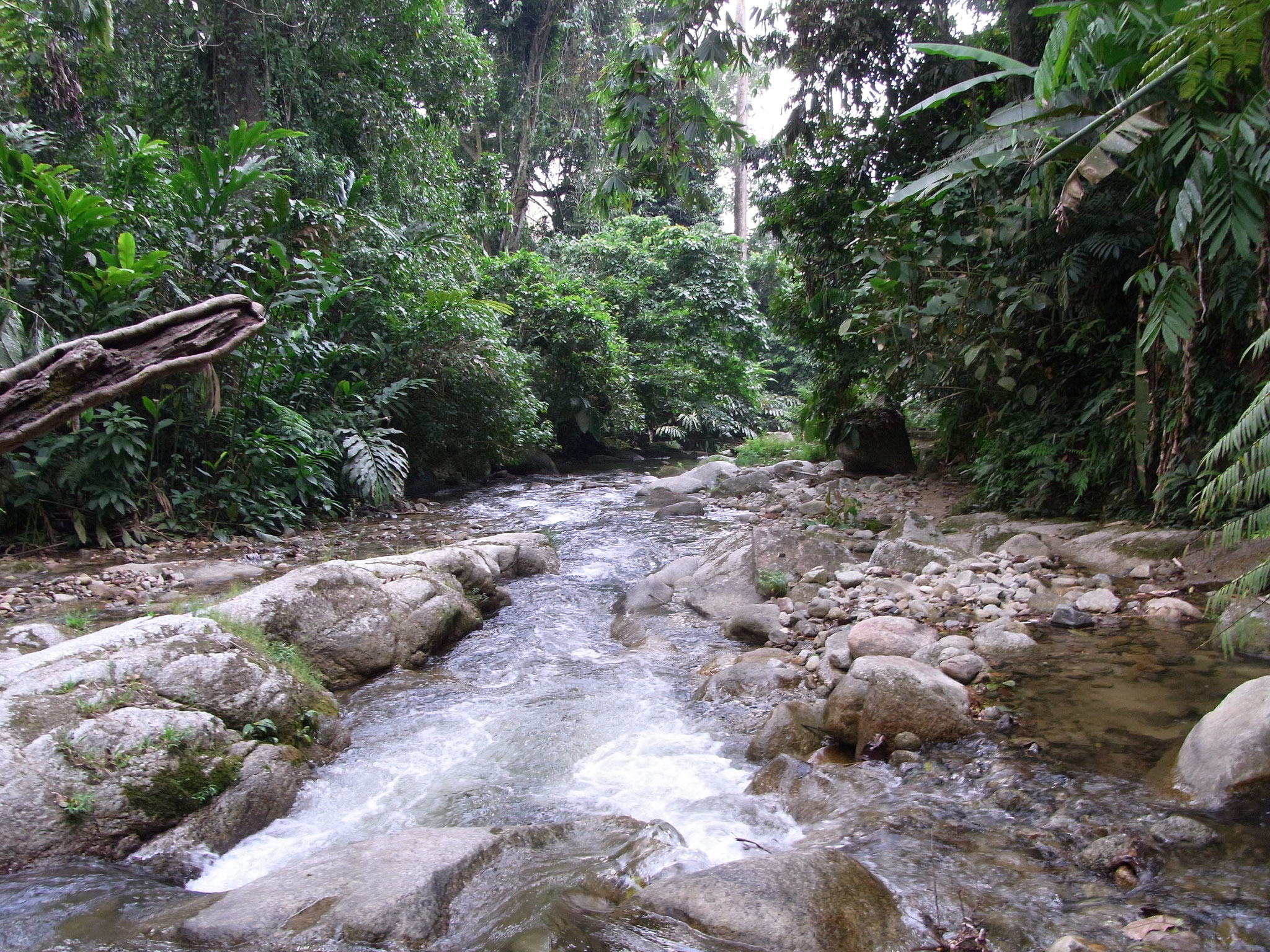 Cameron Highlands, MALAYSIA