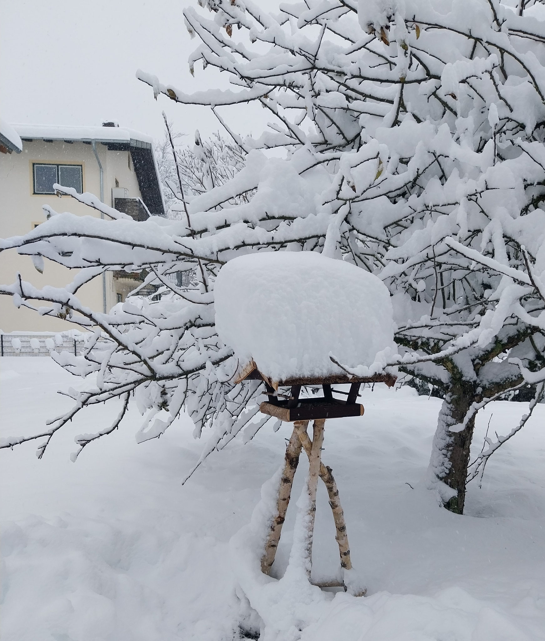 Winter Vogelhaus