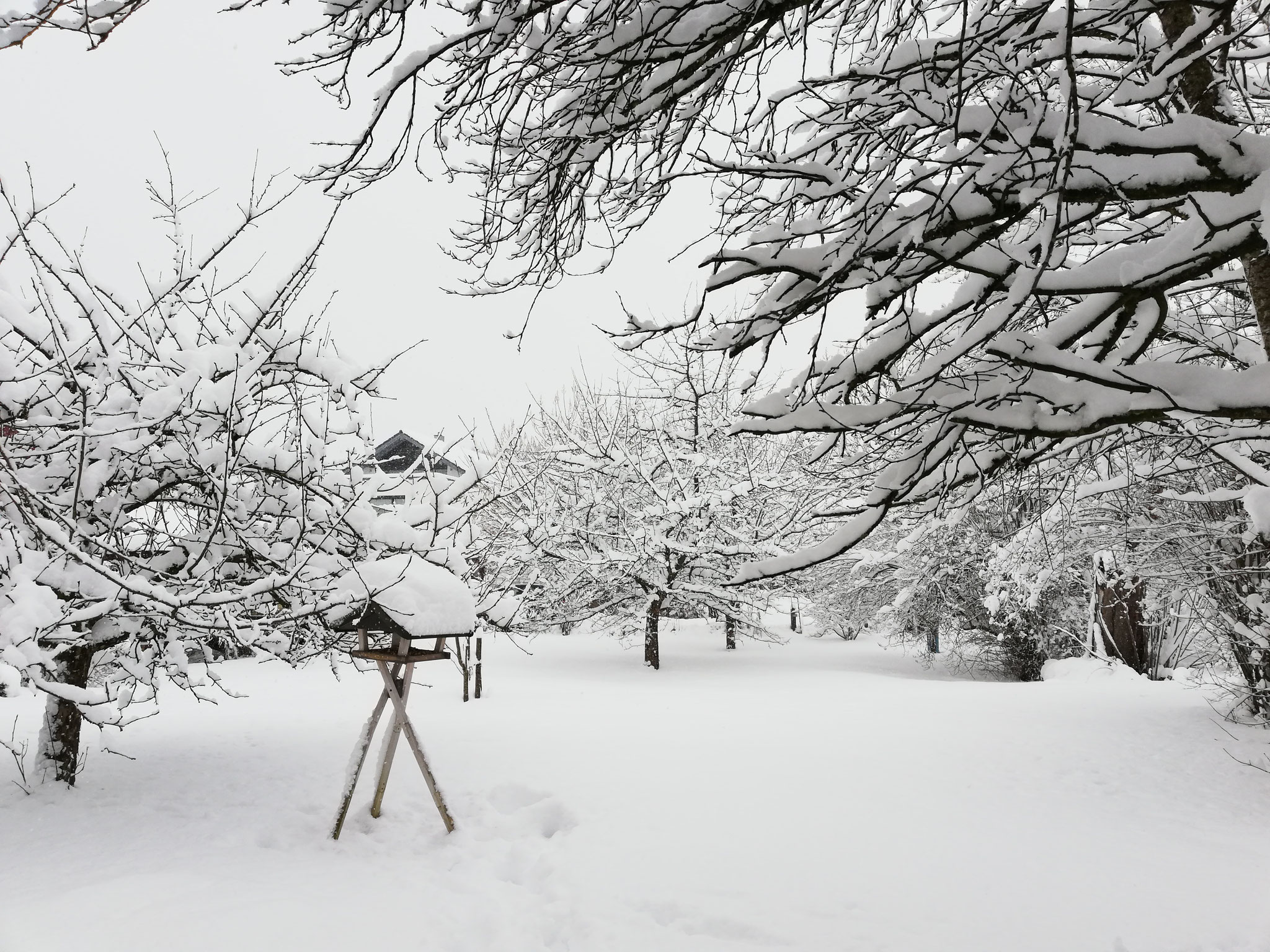 Garten im Winter