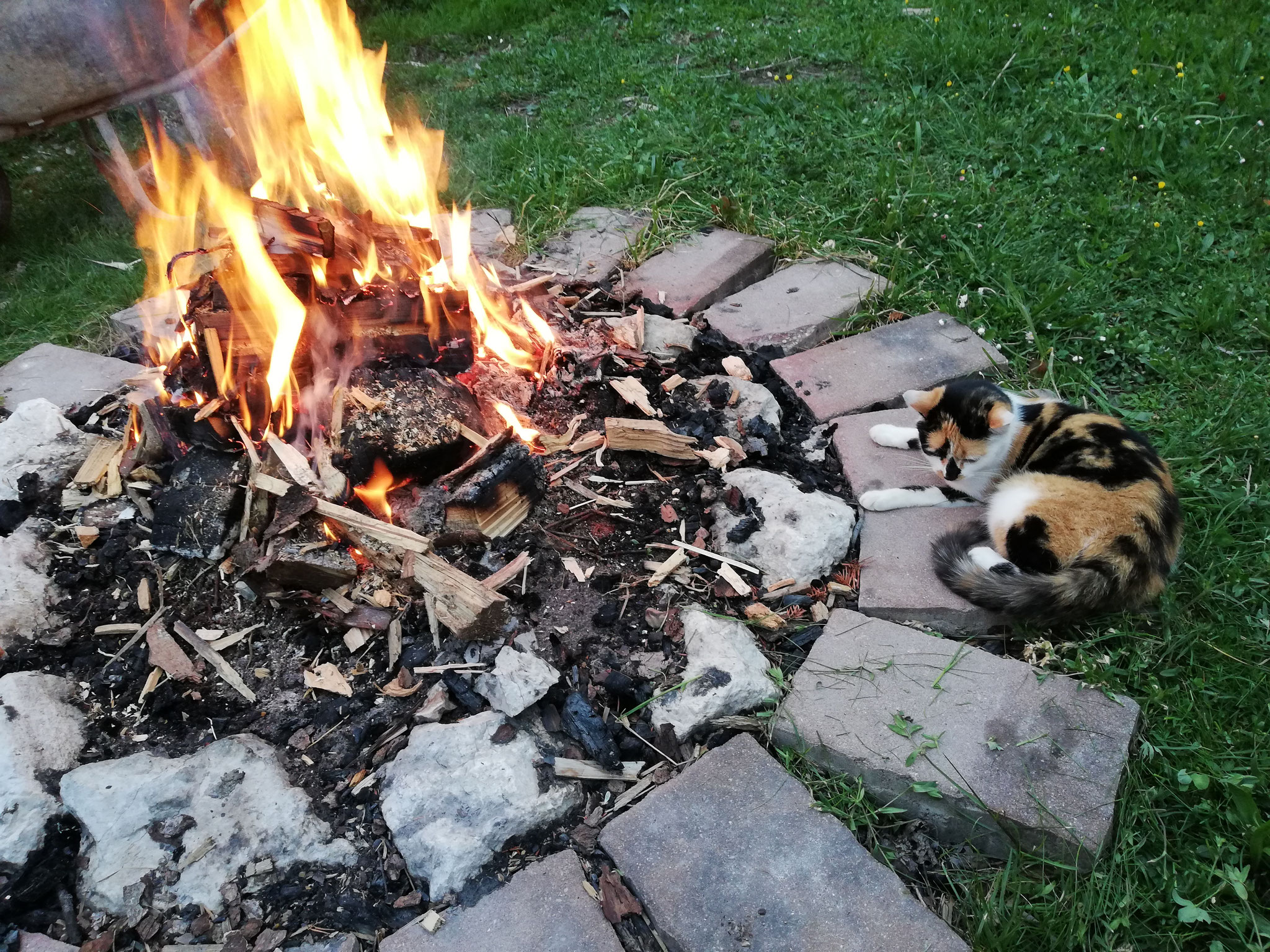 Lagerfeuerplatz