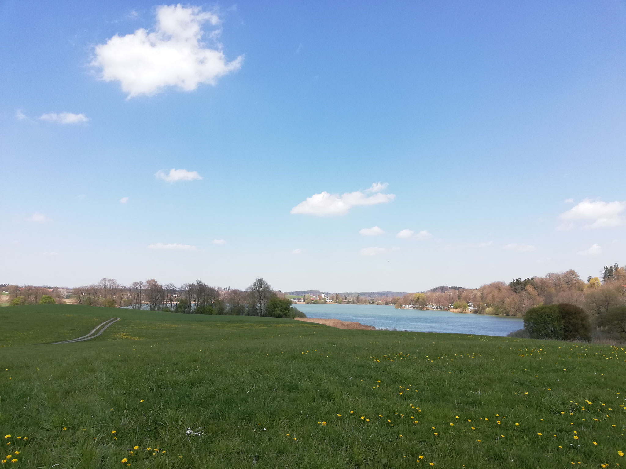 Blick auf Soyen See
