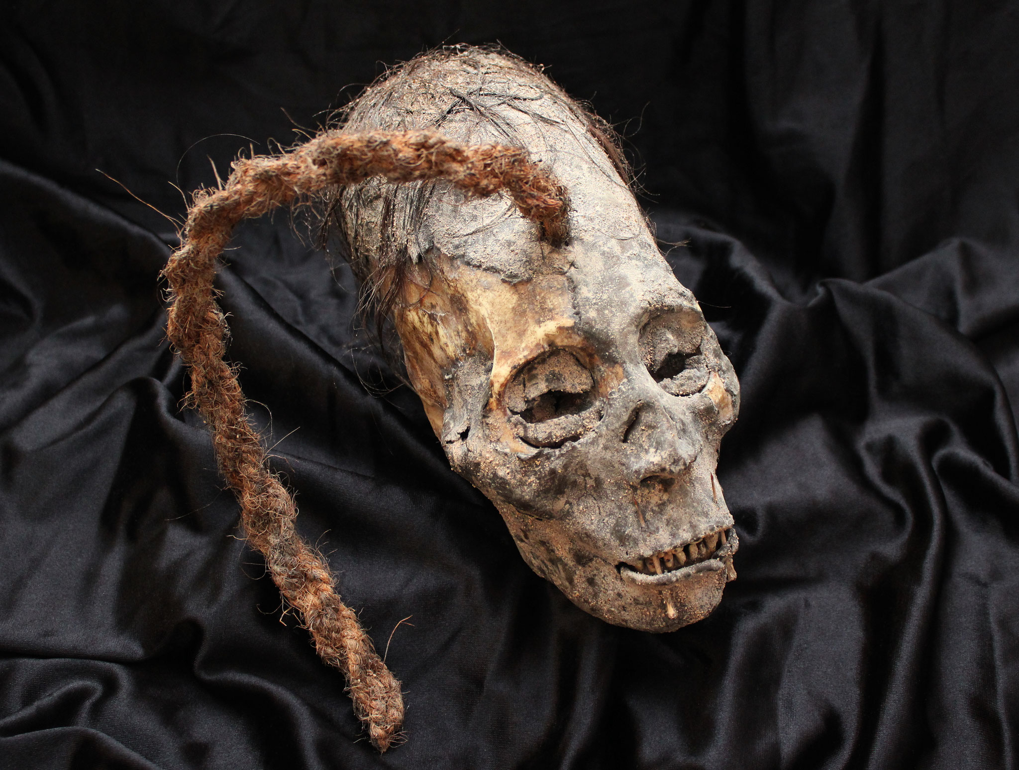 Peruvian elongated skull trophy head (Paracas / Nazca)