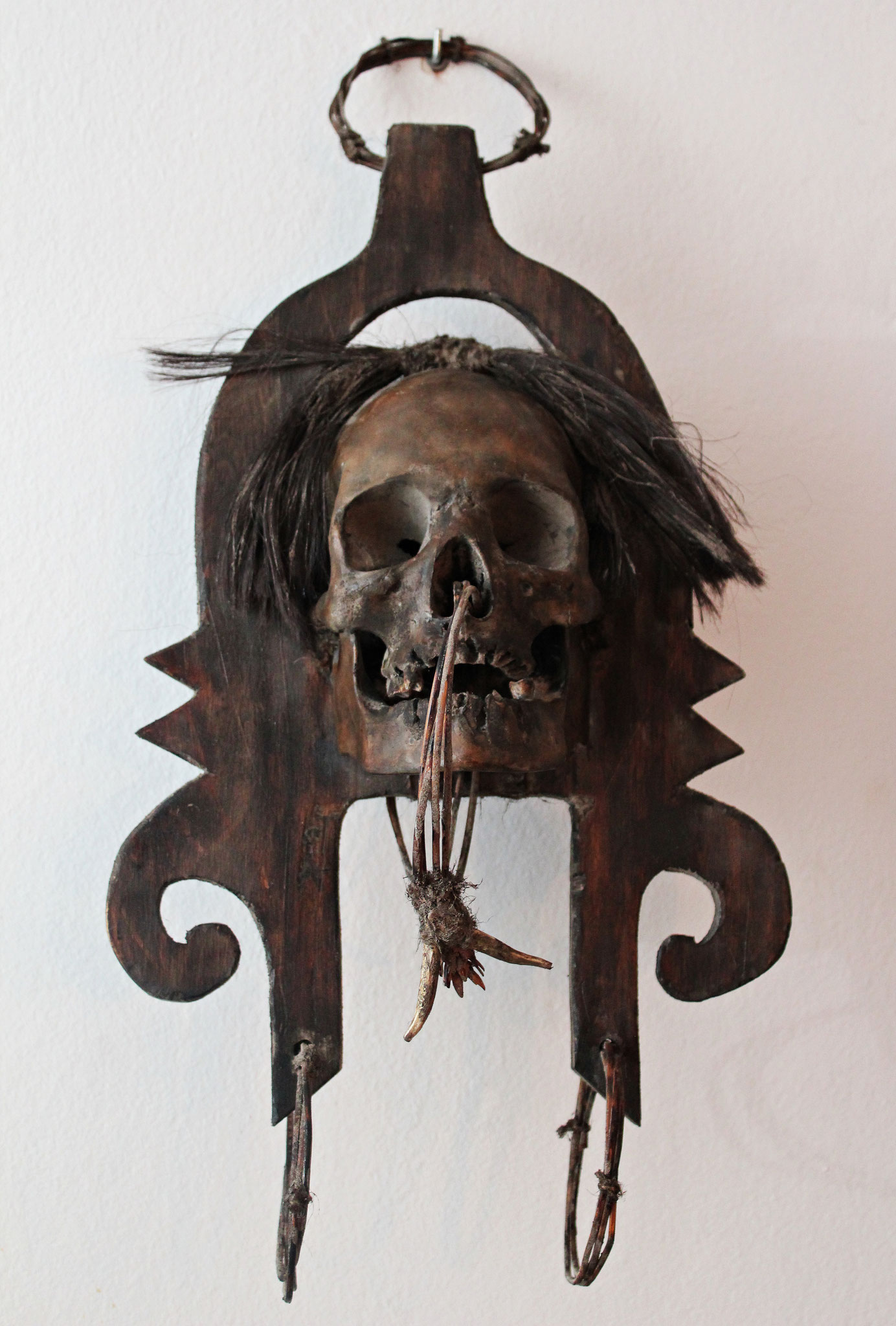 Apo Kayan Skull (Borneo - Malasia)
