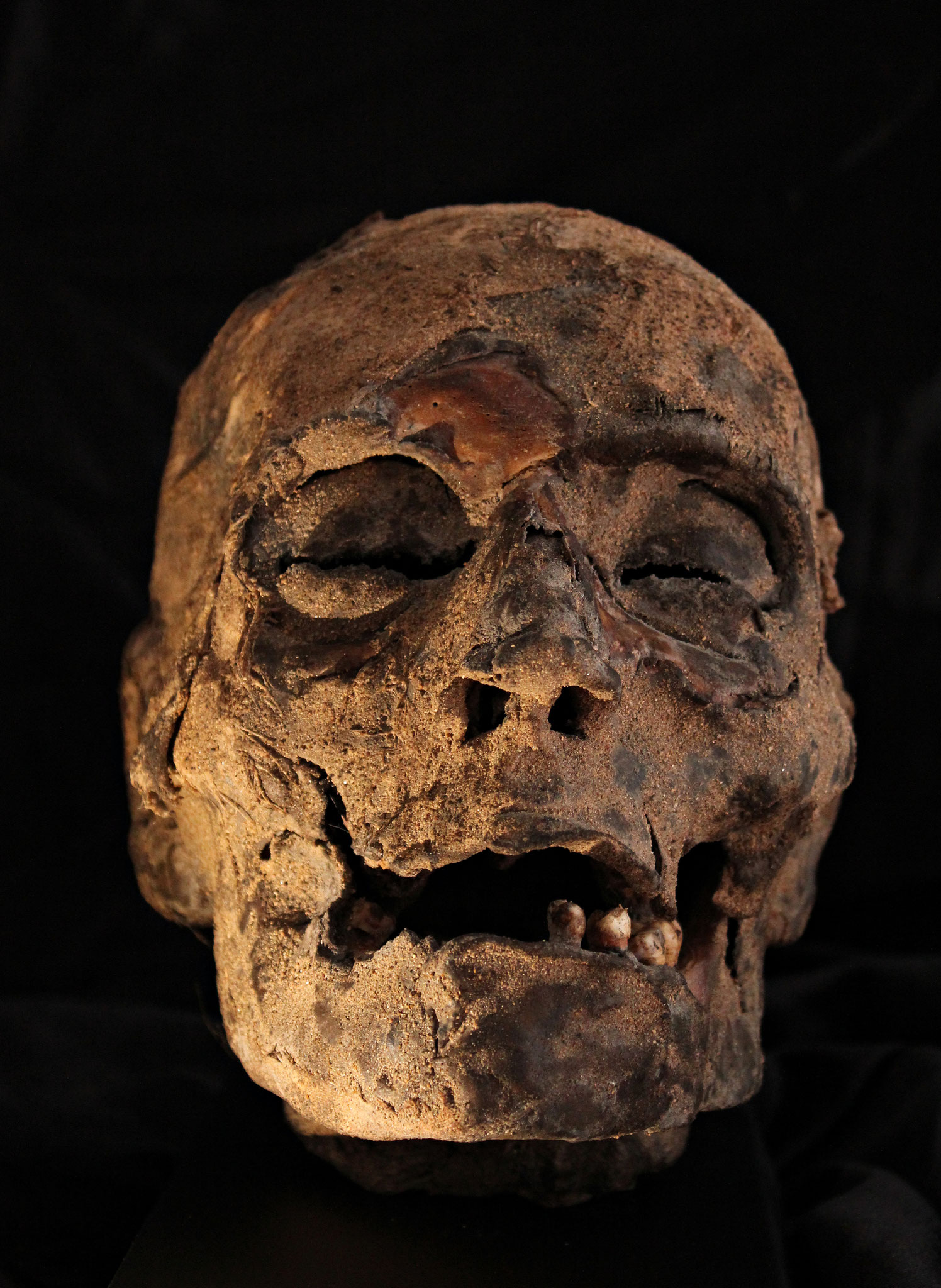 Egyptian mummy head