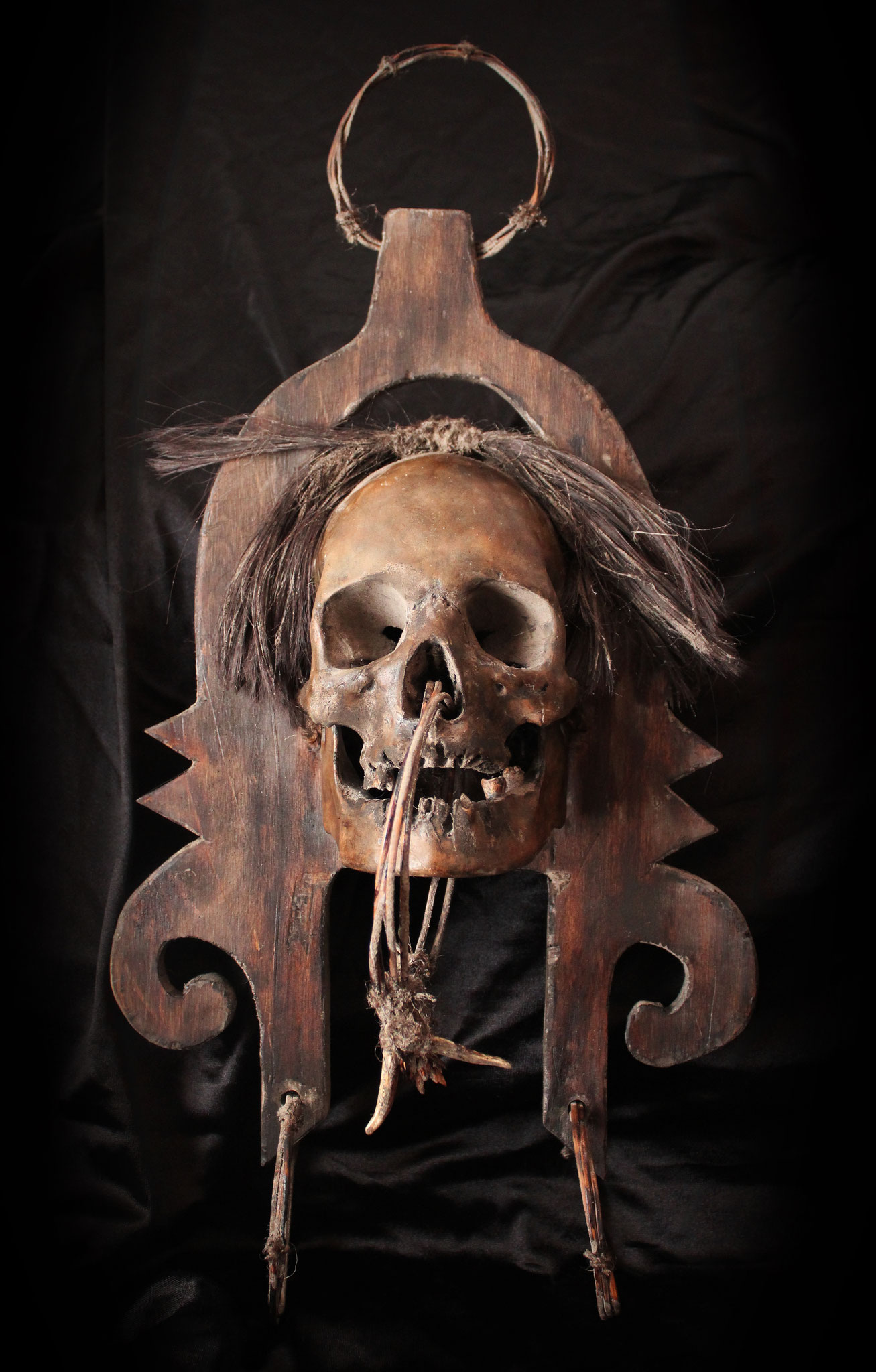 APO KAYAN - Skull