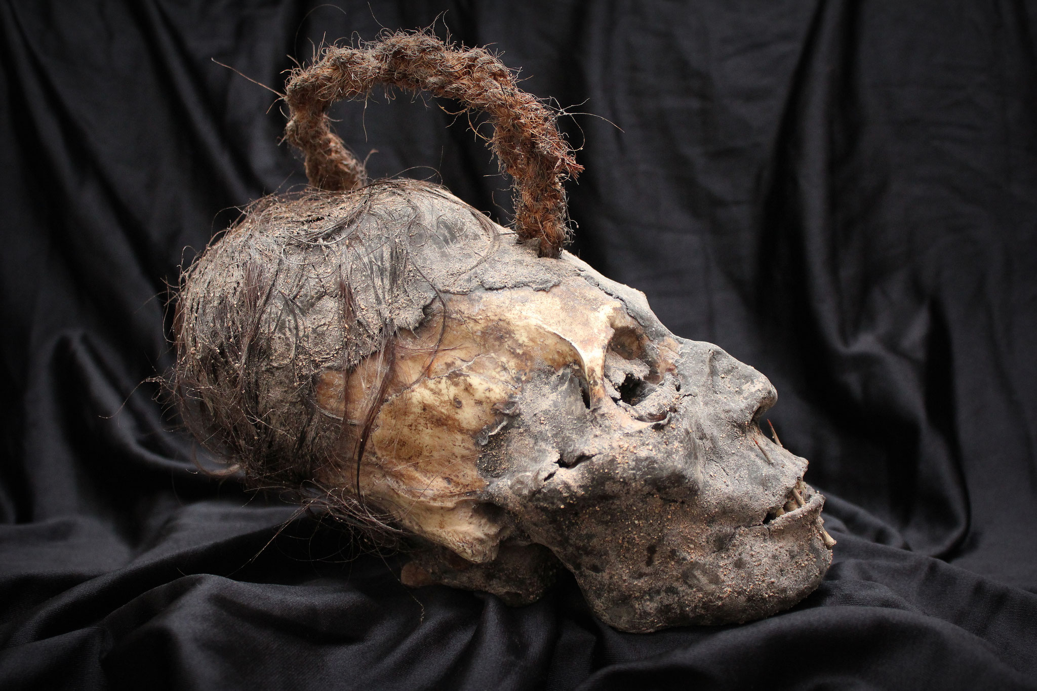 Paracas skull