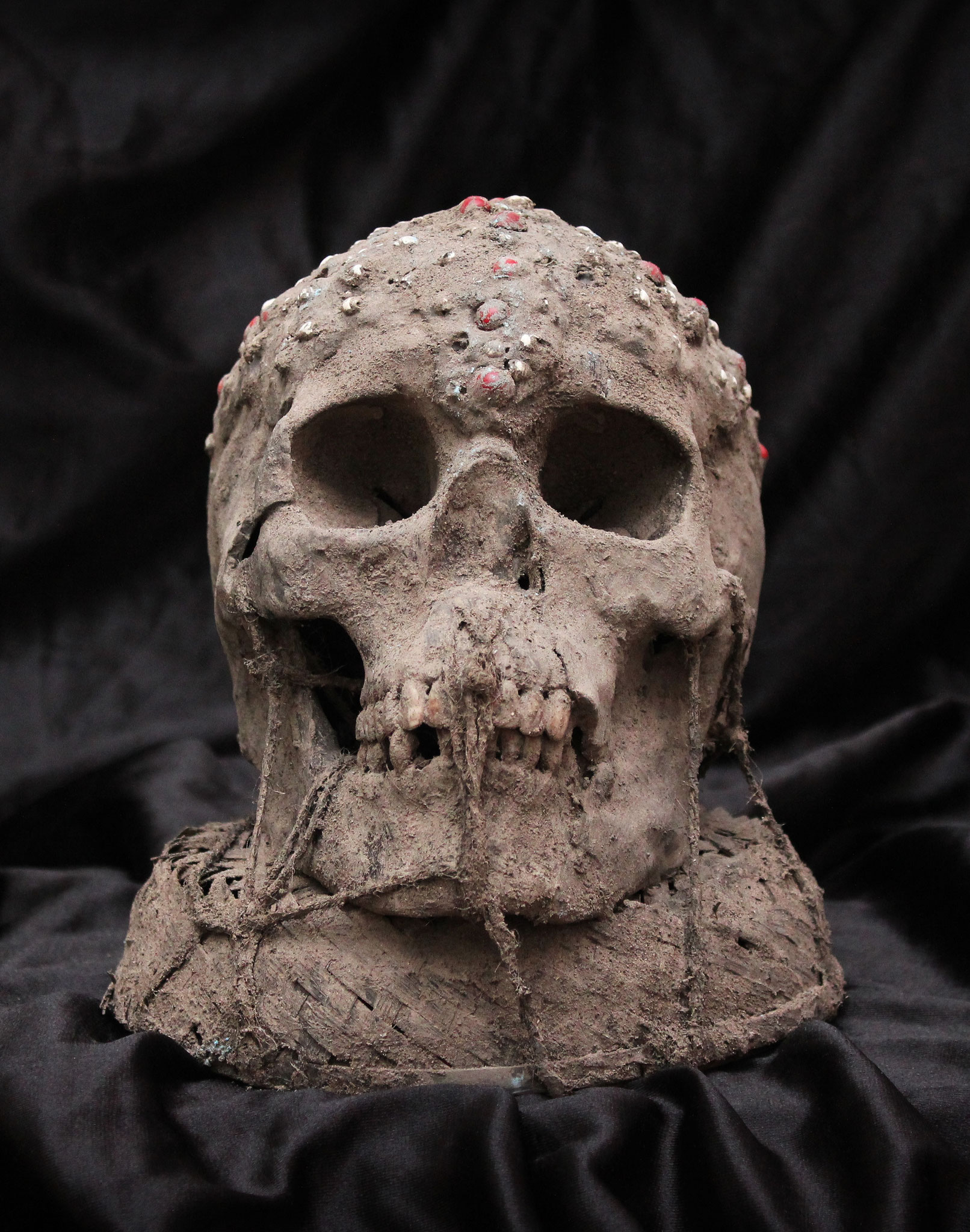 TIV Skull (Nigeria)