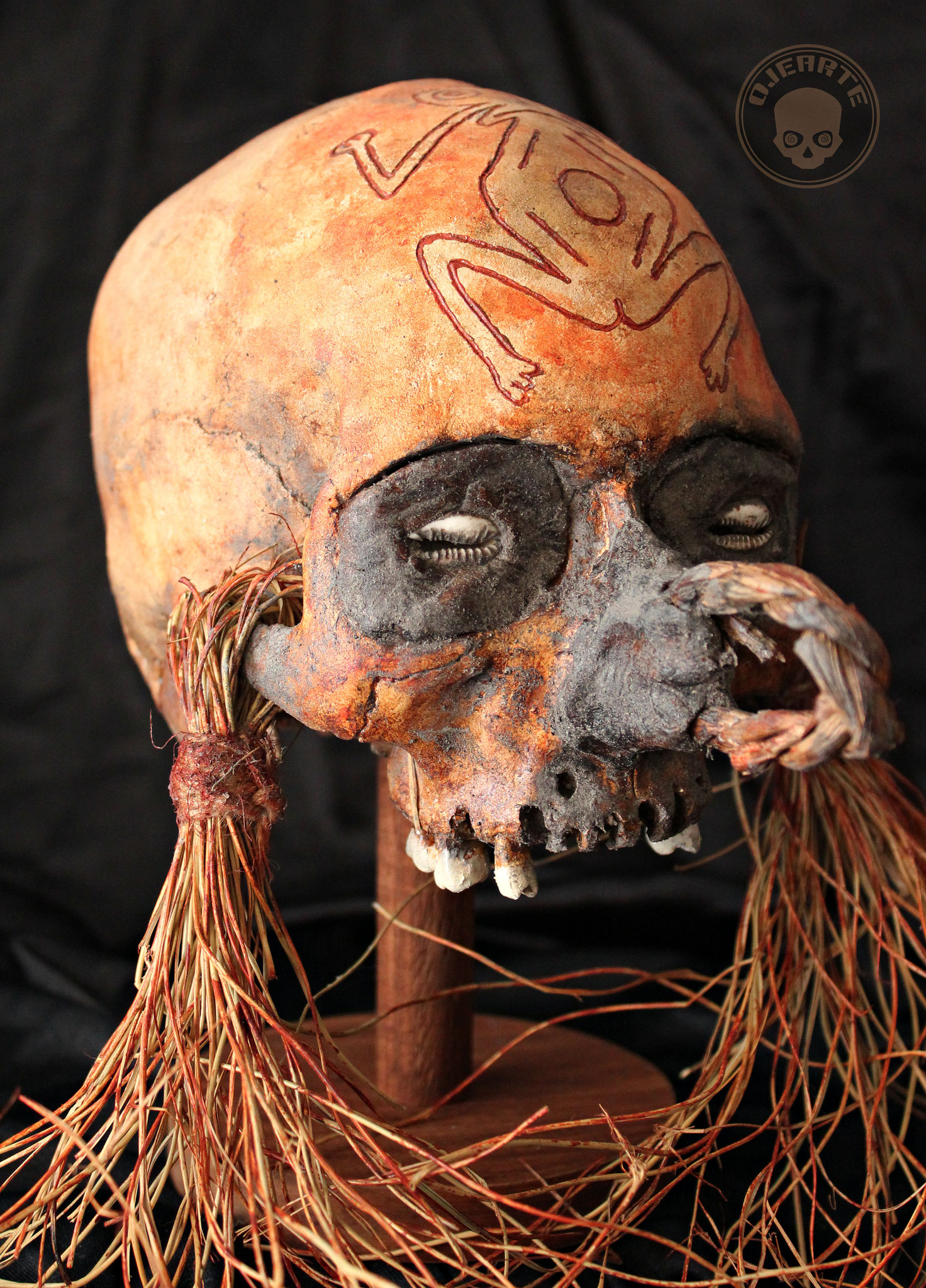 Palau or Palaos Islands skull